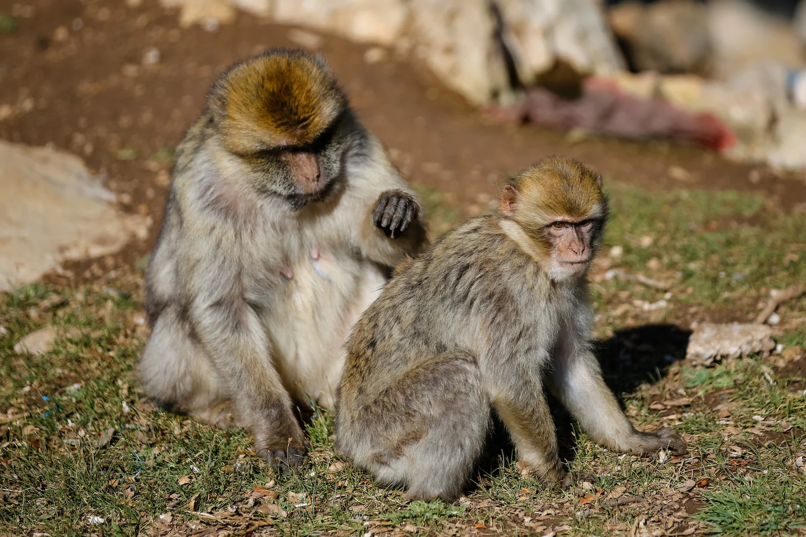 2019 DRIVE TO DESERT-2.JPG