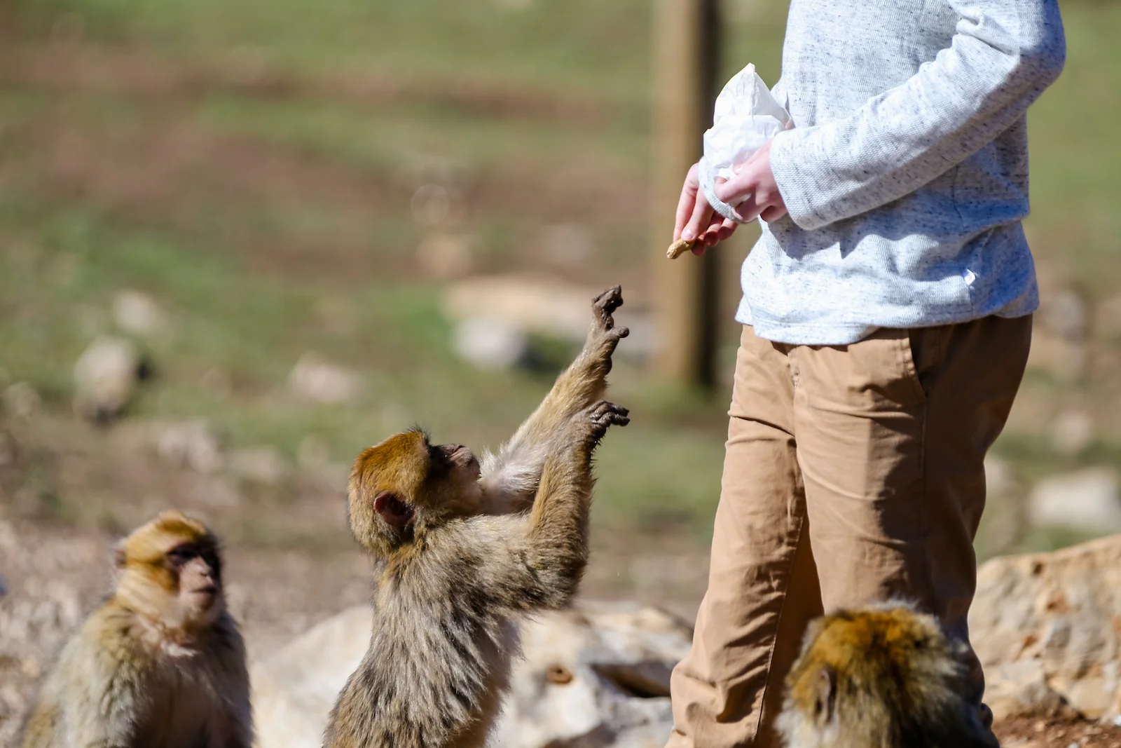 2019 DRIVE TO DESERT-5.JPG