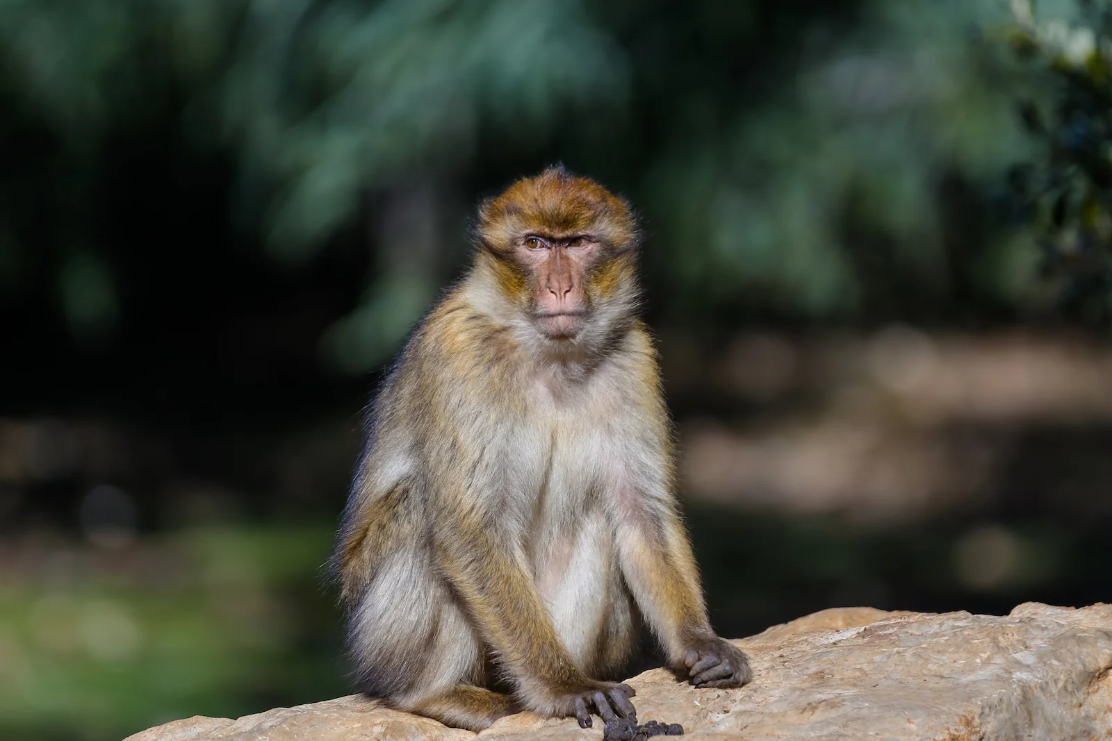 2019 DRIVE TO DESERT-8.JPG