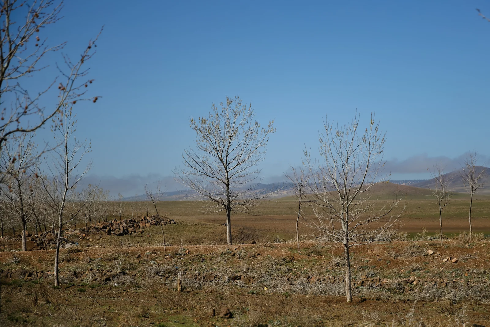 2019 DRIVE TO DESERT-11.JPG