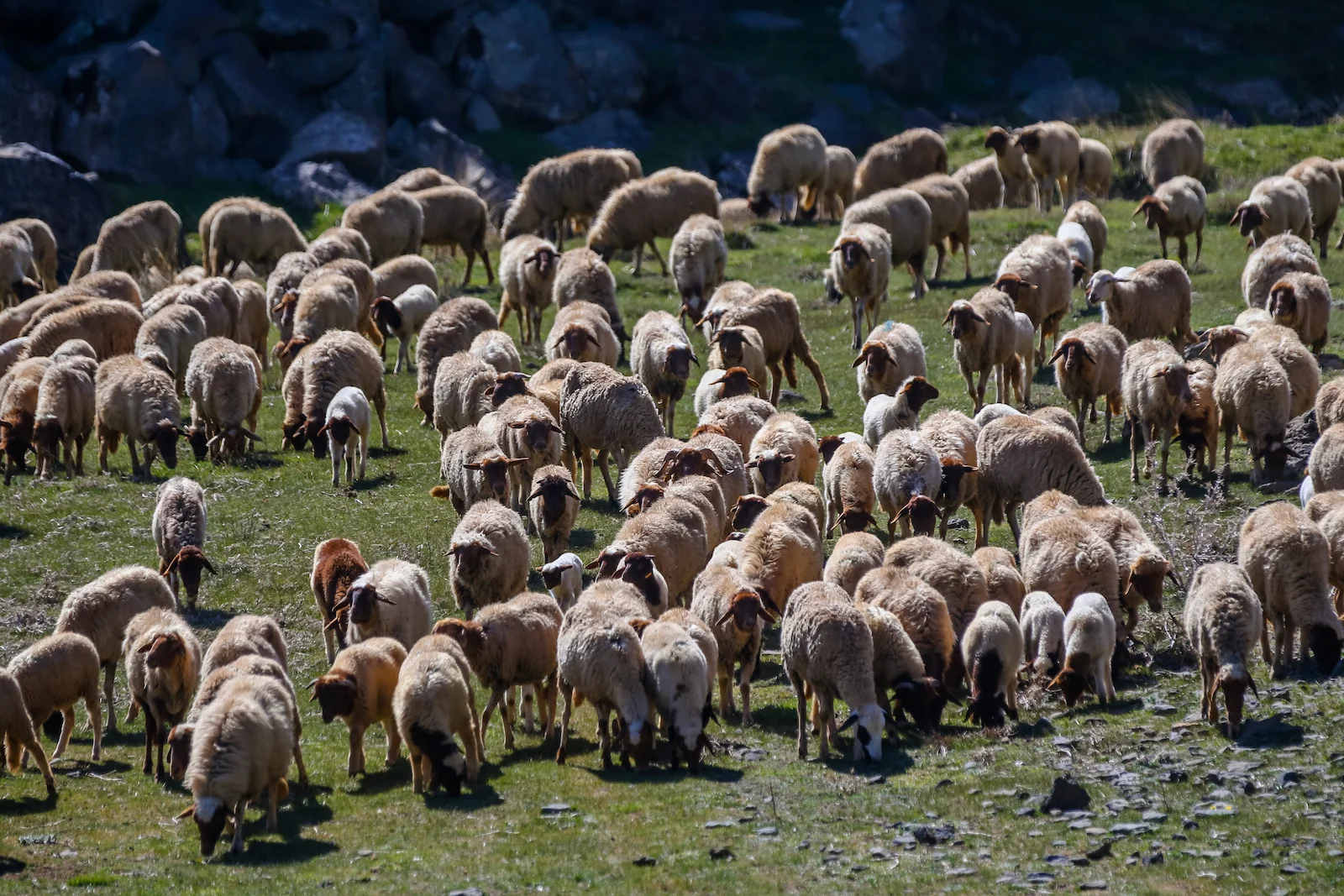 2019 DRIVE TO DESERT-15.JPG