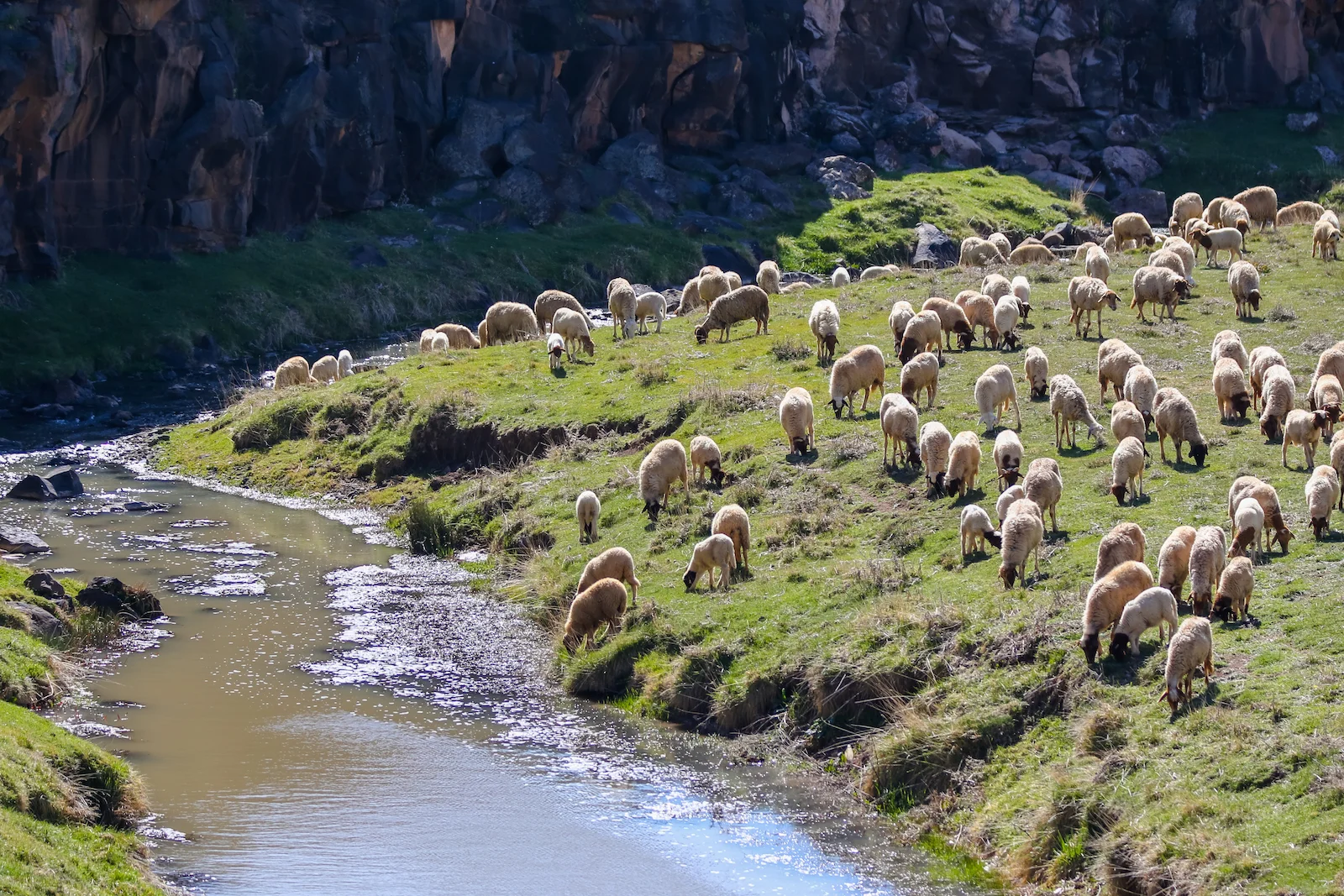 2019 DRIVE TO DESERT-16.JPG