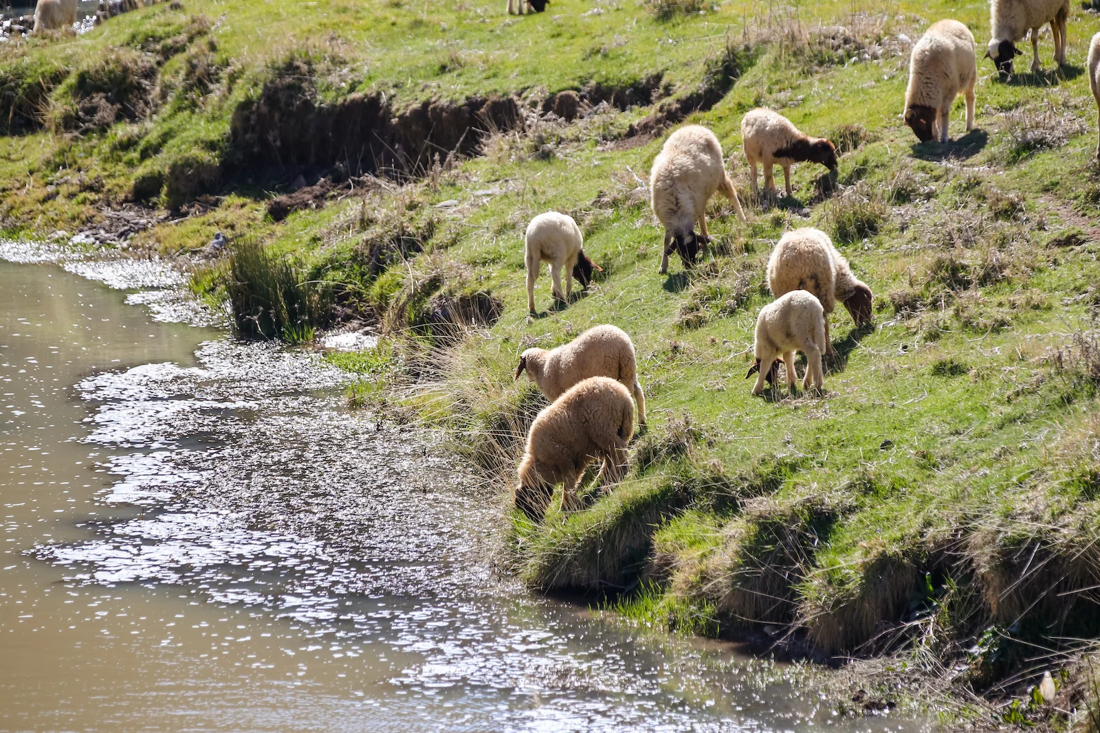 2019 DRIVE TO DESERT-17.JPG