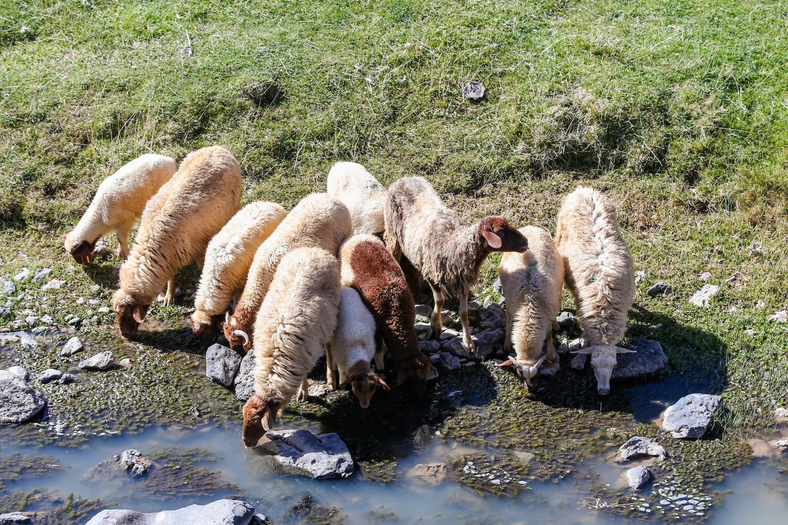 2019 DRIVE TO DESERT-18.JPG