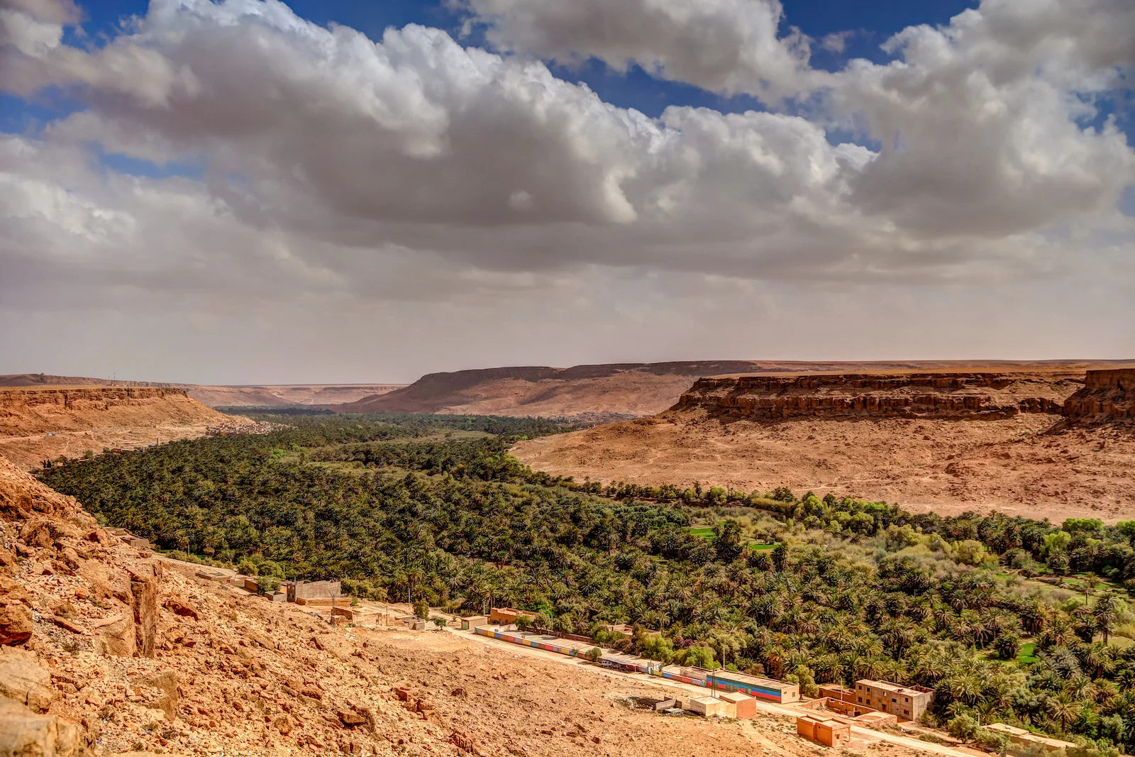 2019 DRIVE TO DESERT-42.JPG