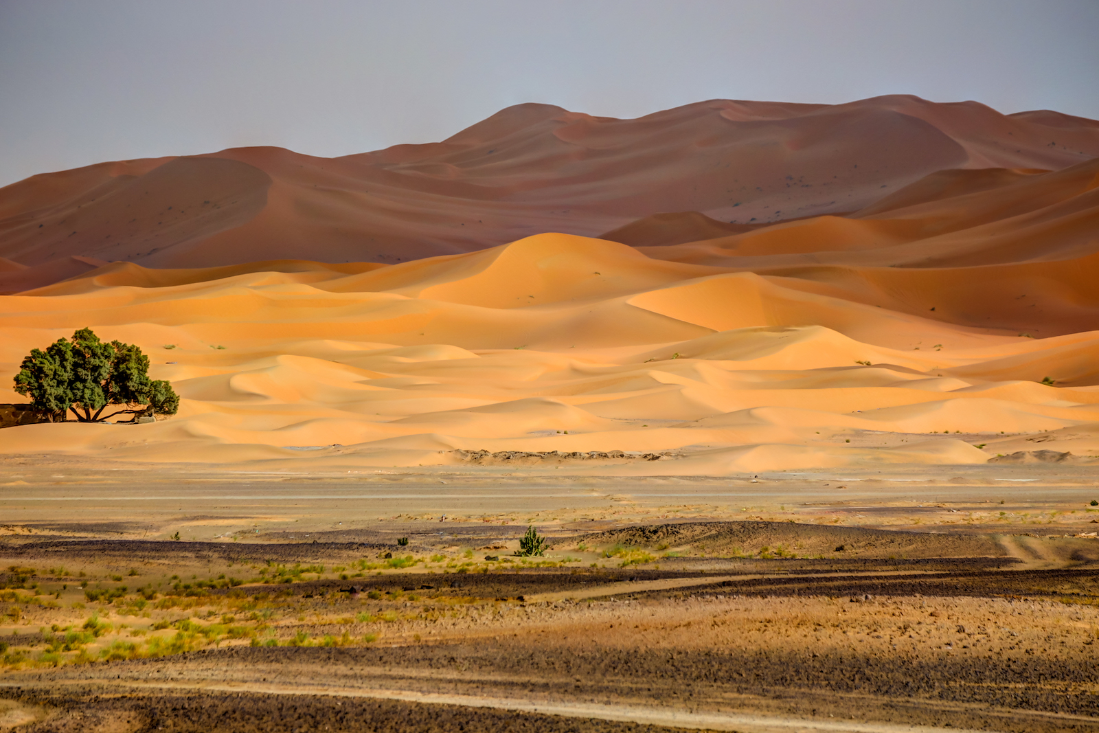 2019 DRIVE TO DESERT-48.JPG