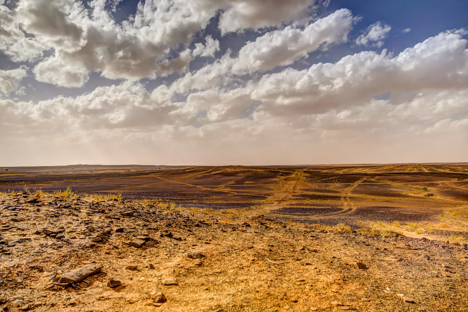 2019 DRIVE TO DESERT-49.JPG