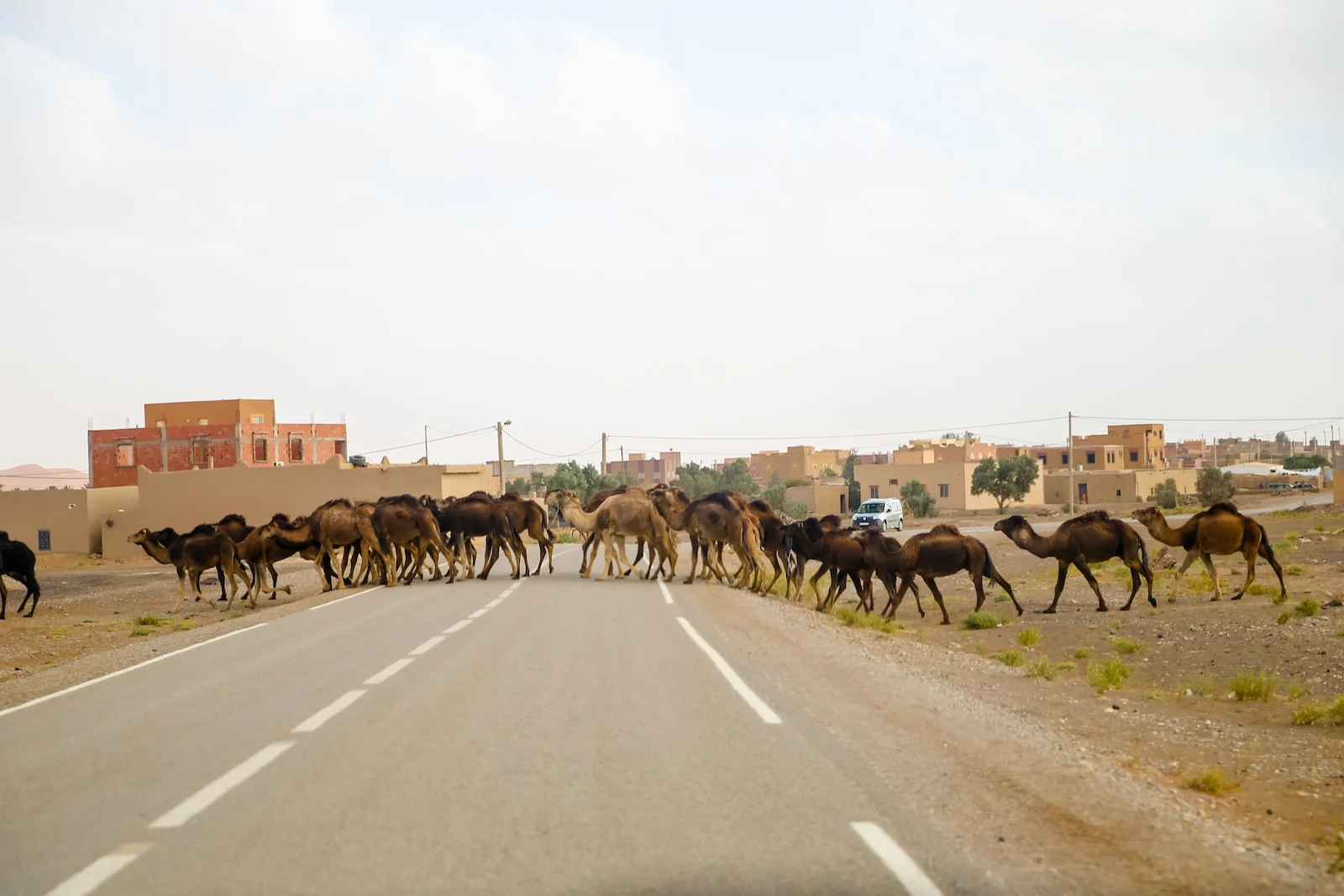 2019 DRIVE TO DESERT-50.JPG