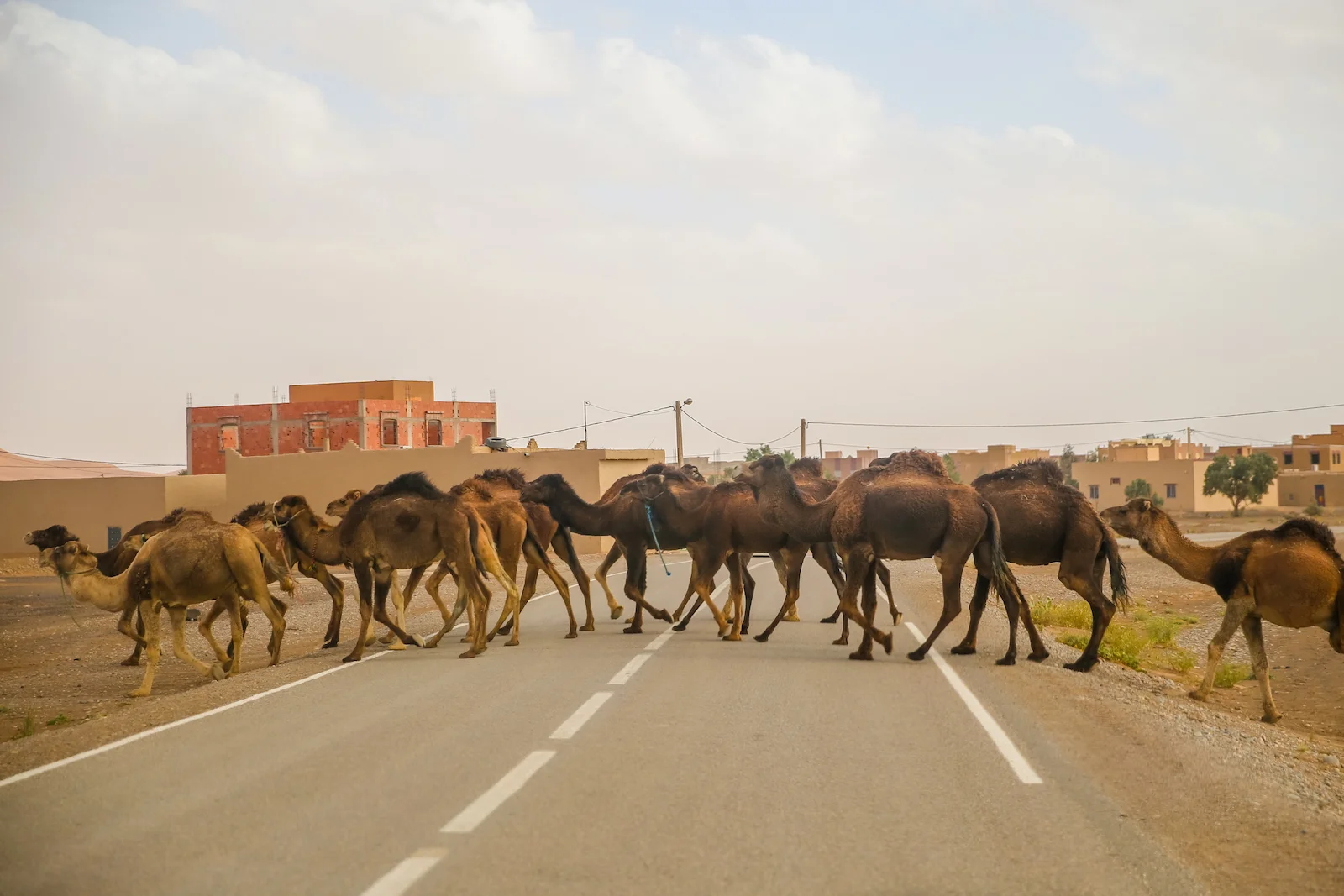 2019 DRIVE TO DESERT-51.JPG