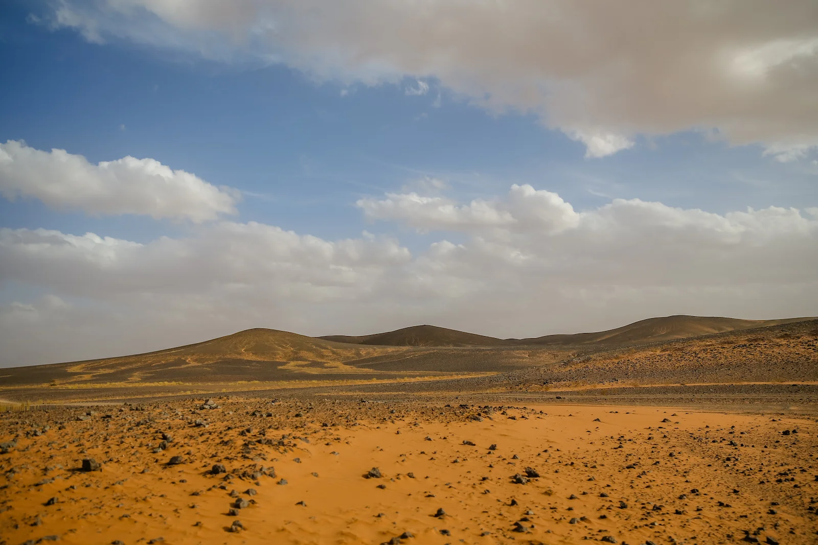 2019 DRIVE TO DESERT-52.JPG