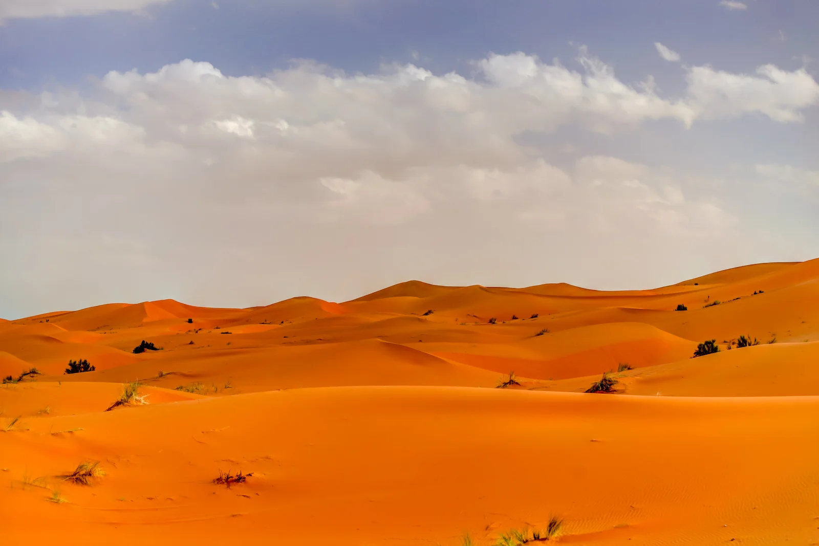 2019 DESERT-9.JPG