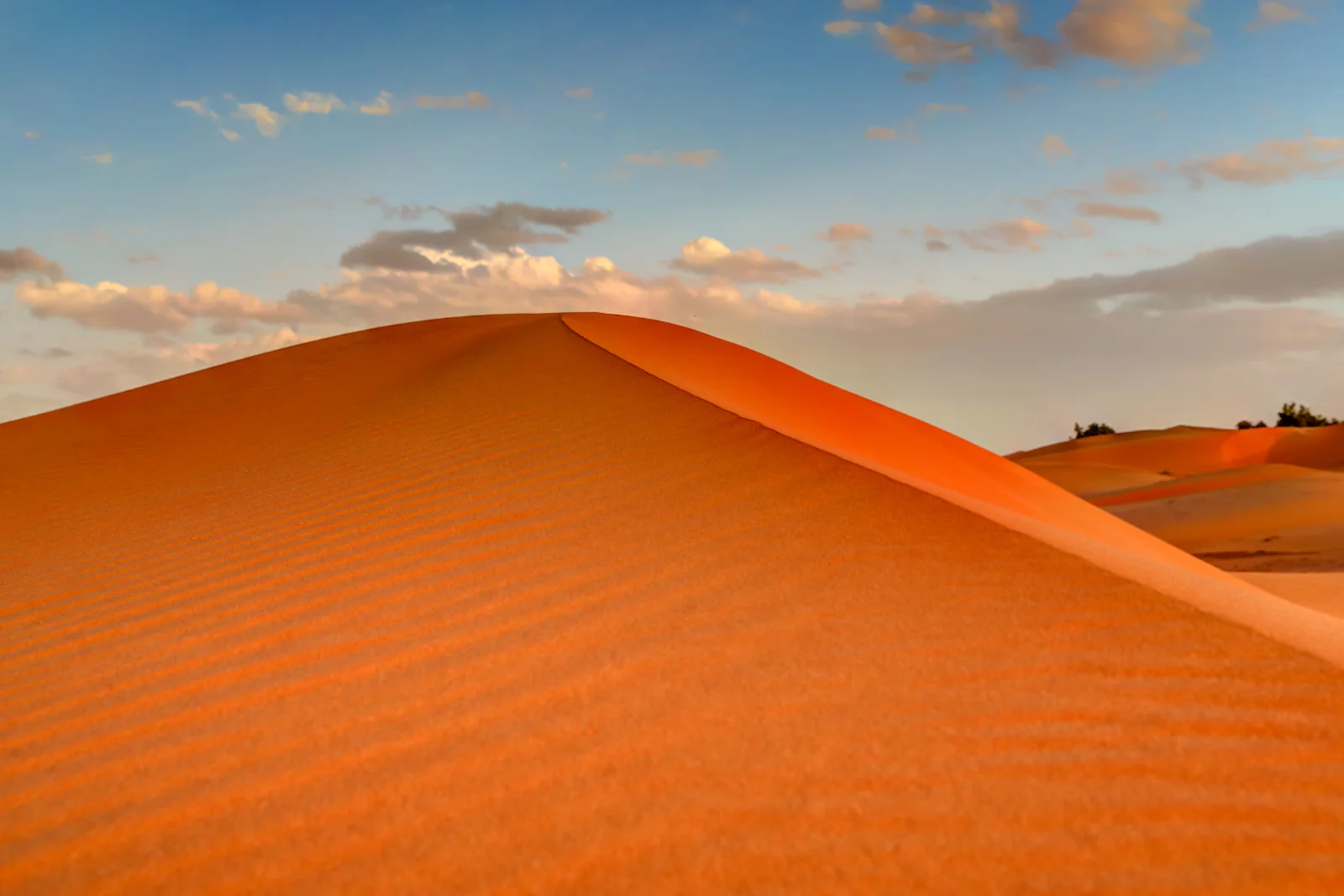 2019 DESERT-24.JPG