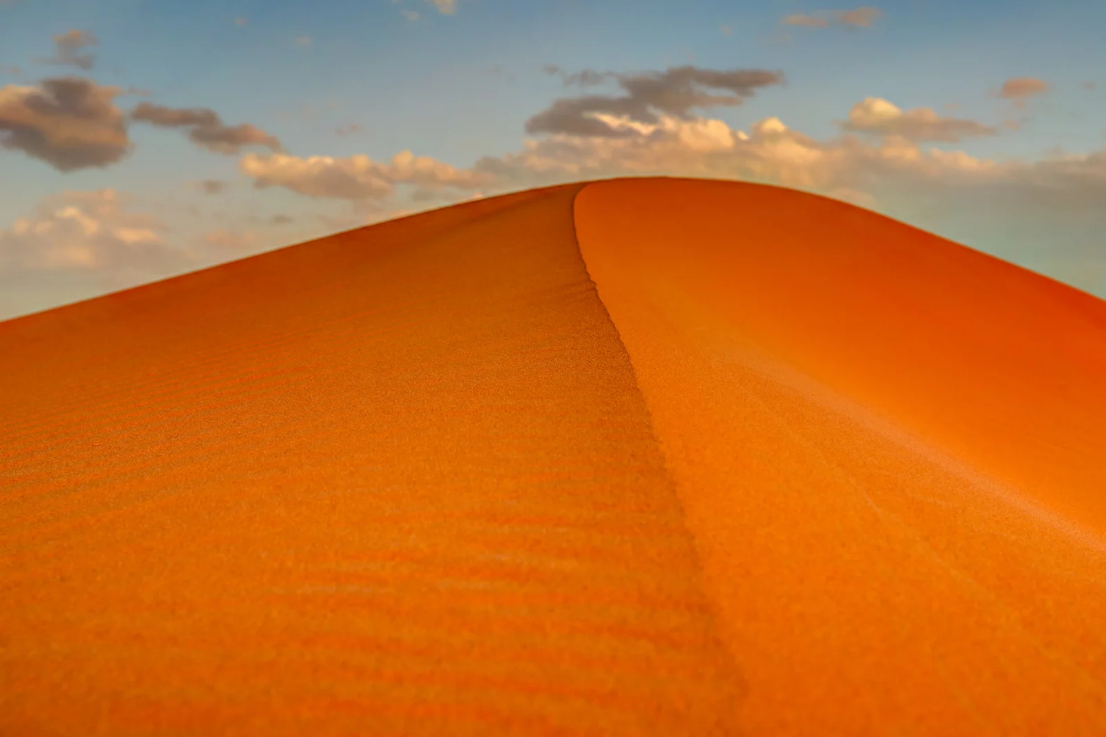 2019 DESERT-25.JPG