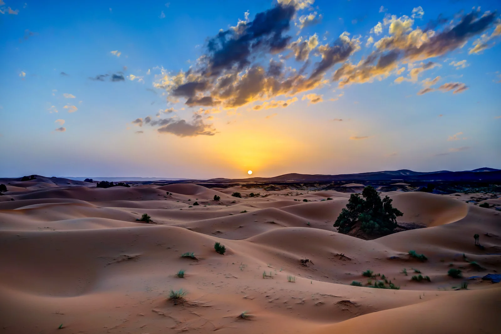 2019 DESERT-31.JPG