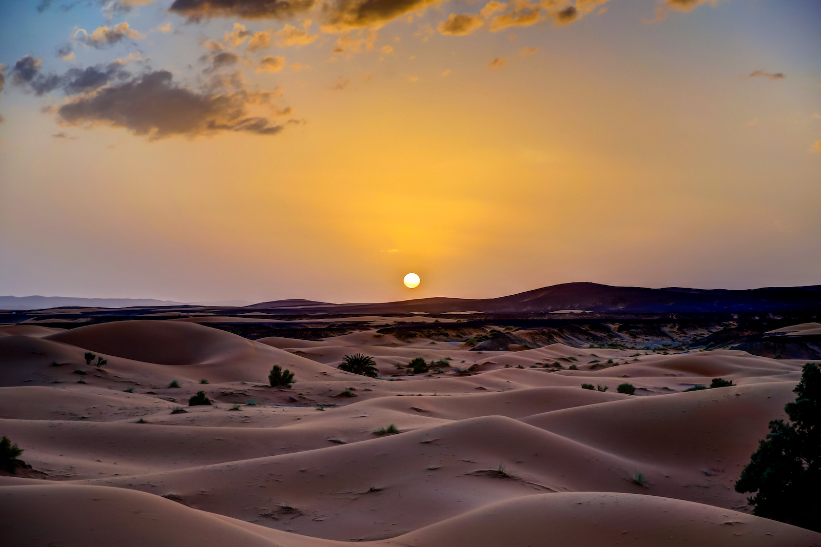 2019 DESERT-32.JPG