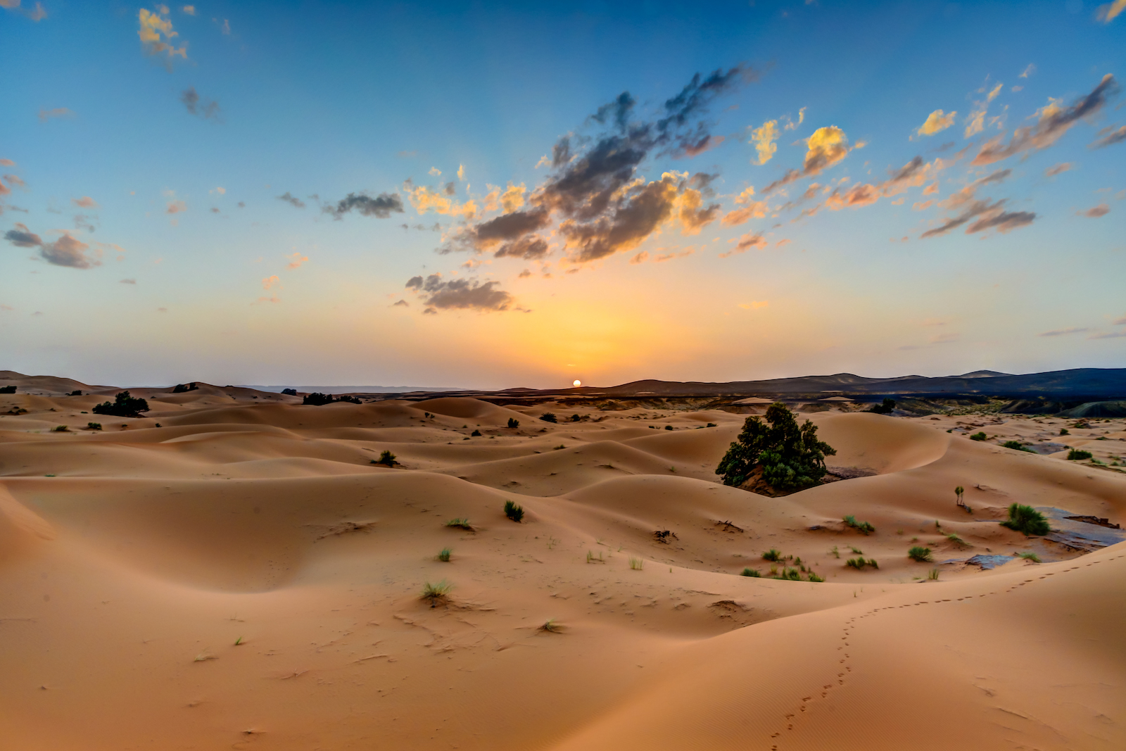 2019 DESERT-34.JPG