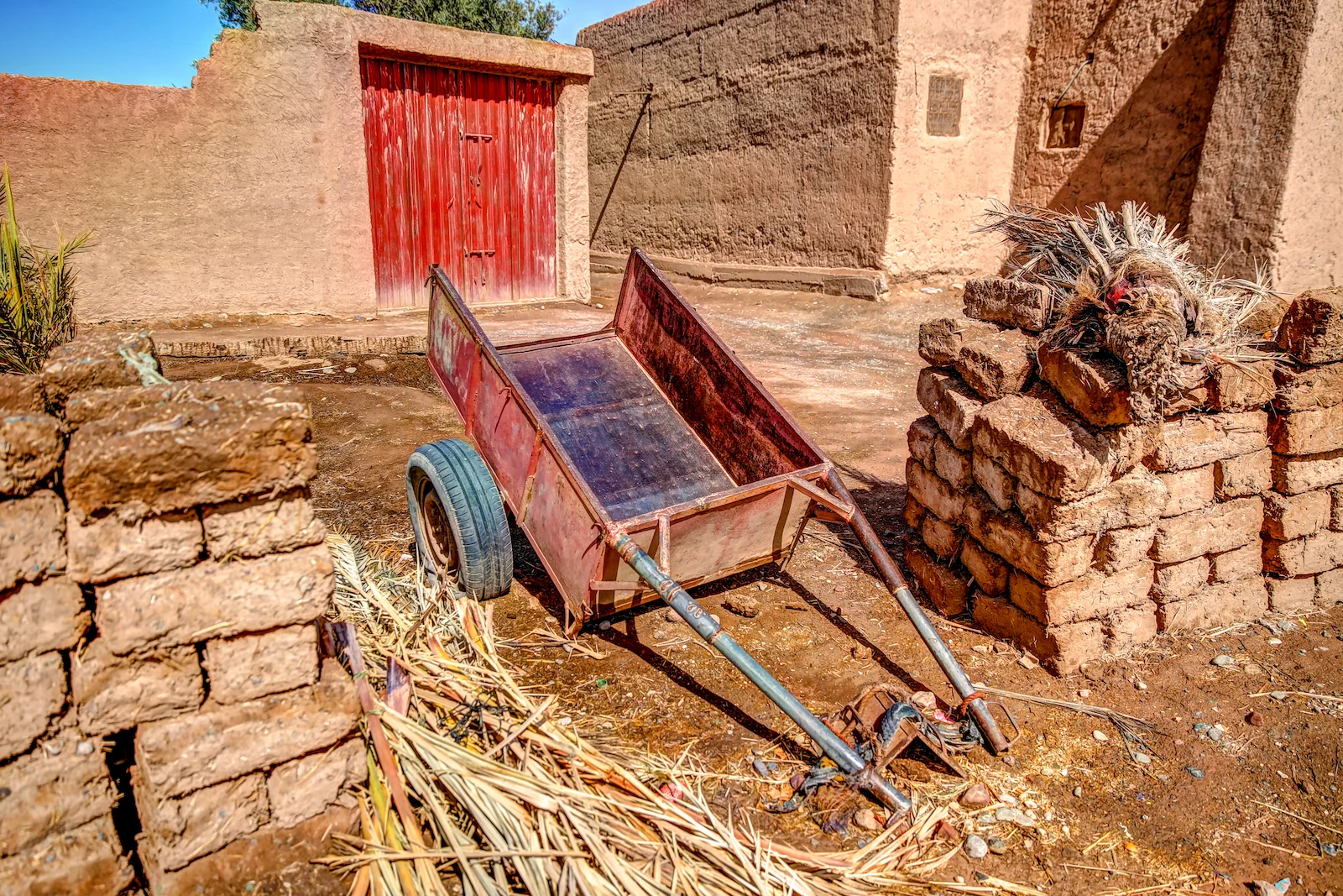 2019 SKOURA-23.JPG