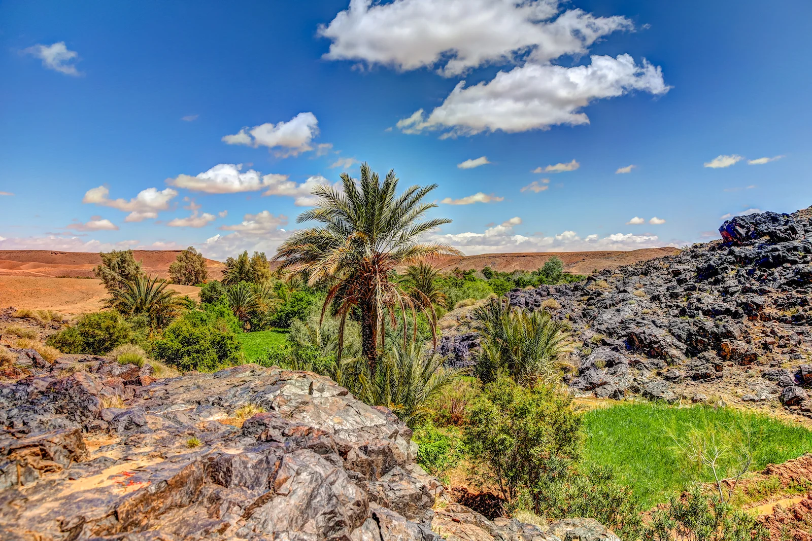 2019 SKOURA-58.JPG