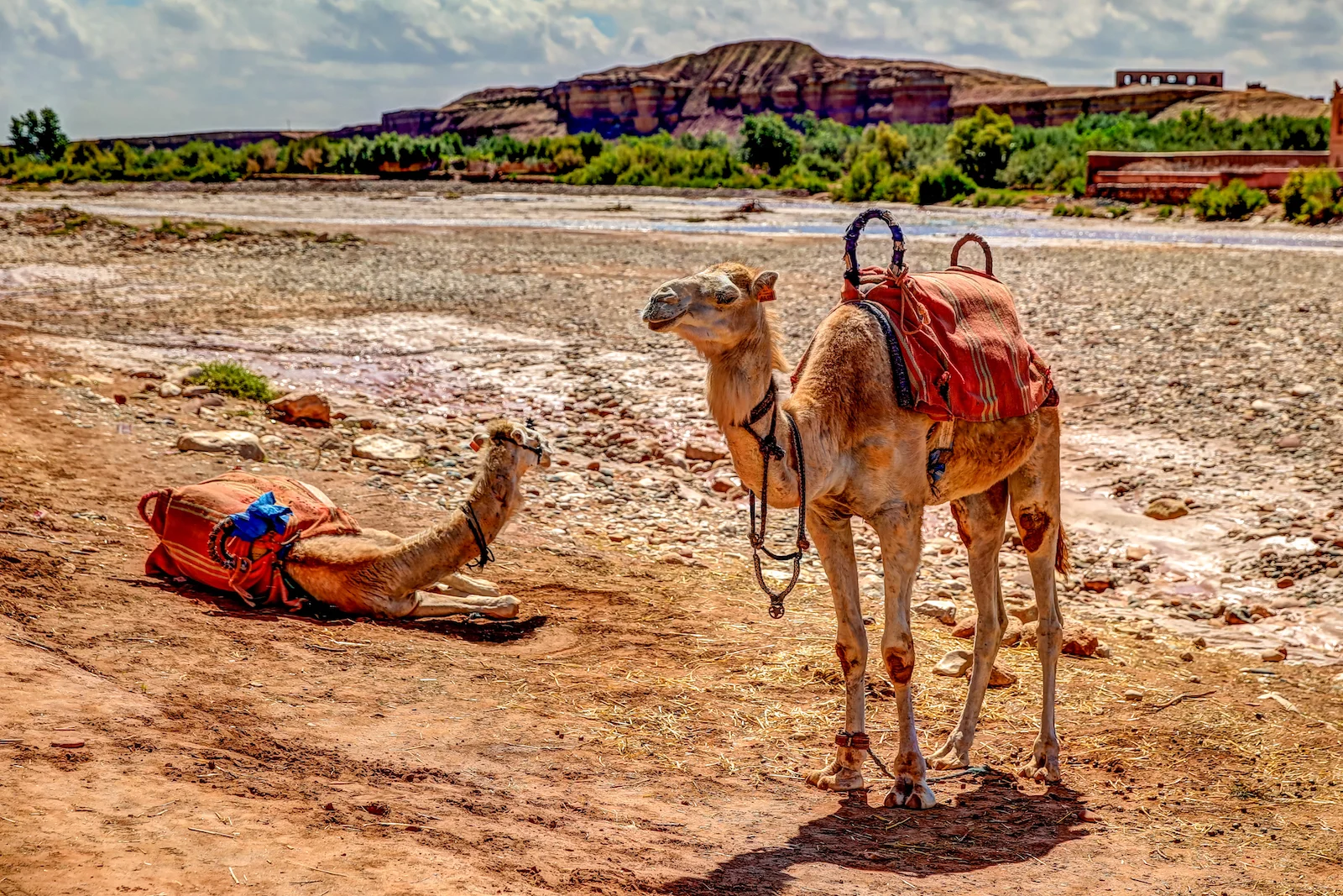 2019 DRIVE TO MARRAKESH-38.JPG