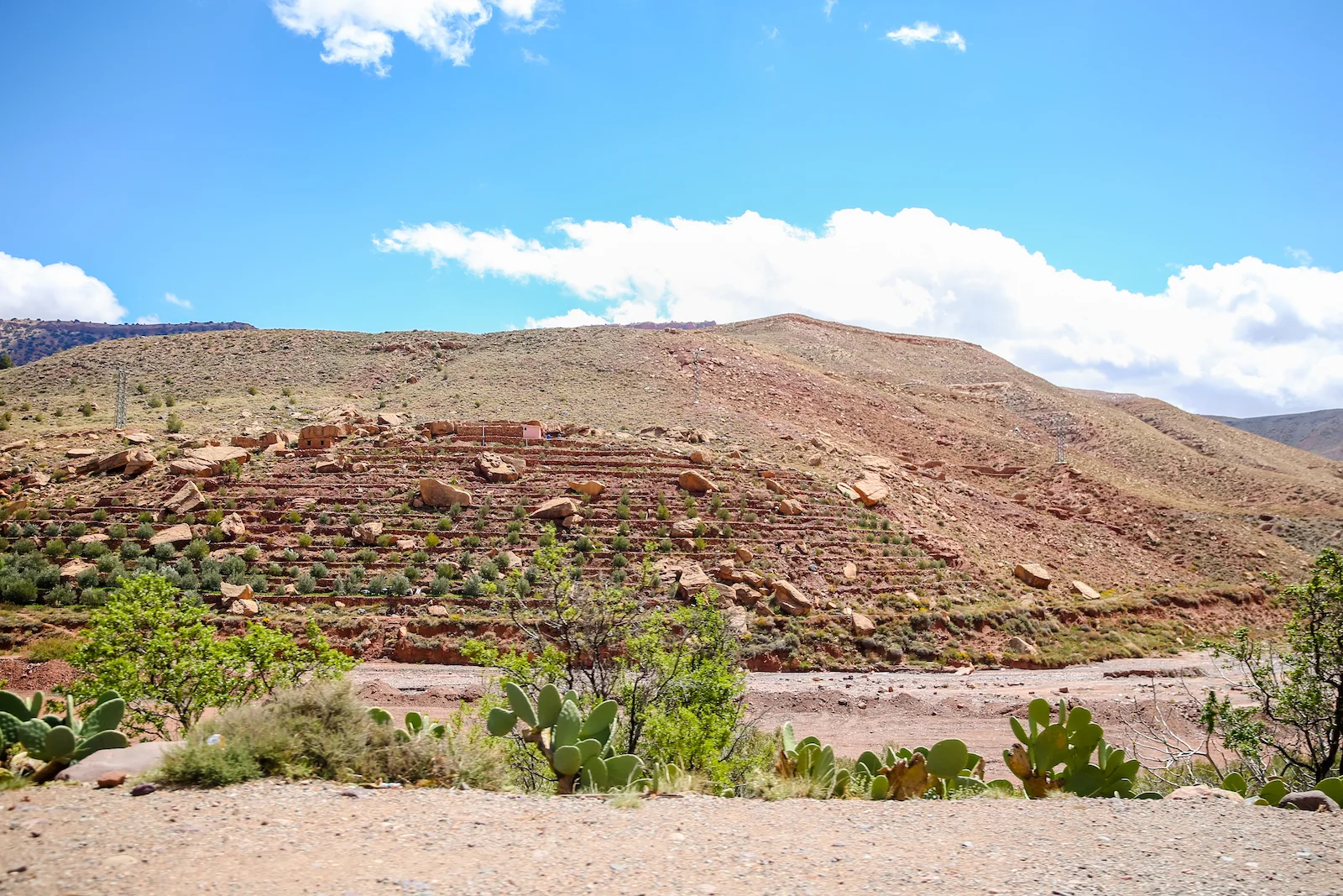 2019 DRIVE TO MARRAKESH-46.JPG