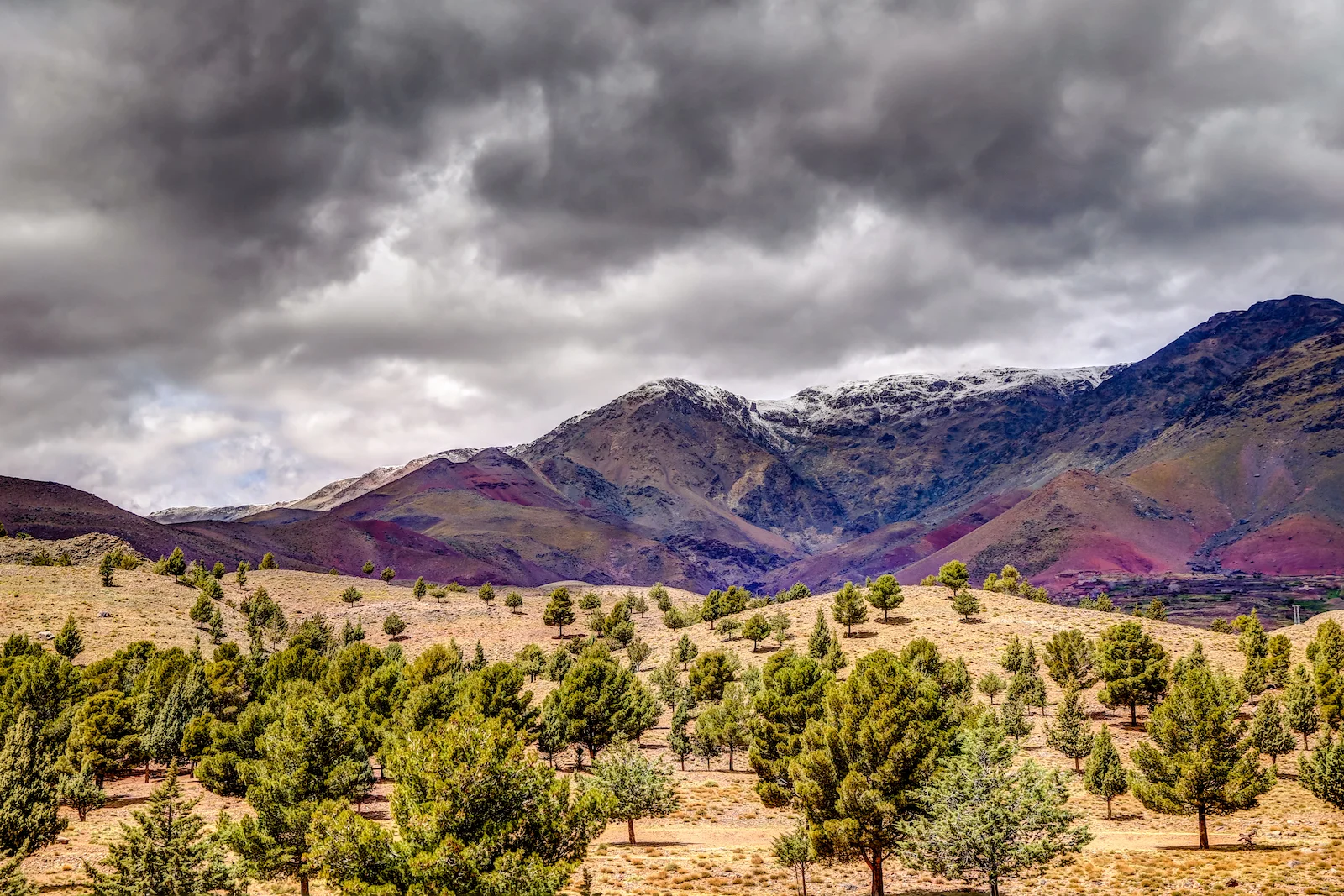 2019 DRIVE TO MARRAKESH-47.JPG