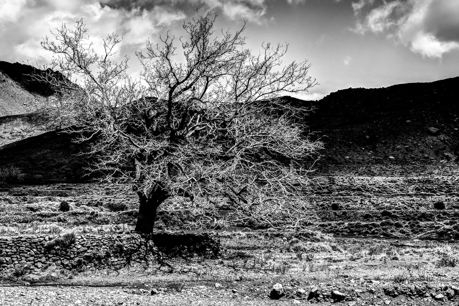 2019 DRIVE TO MARRAKESH-52.JPG