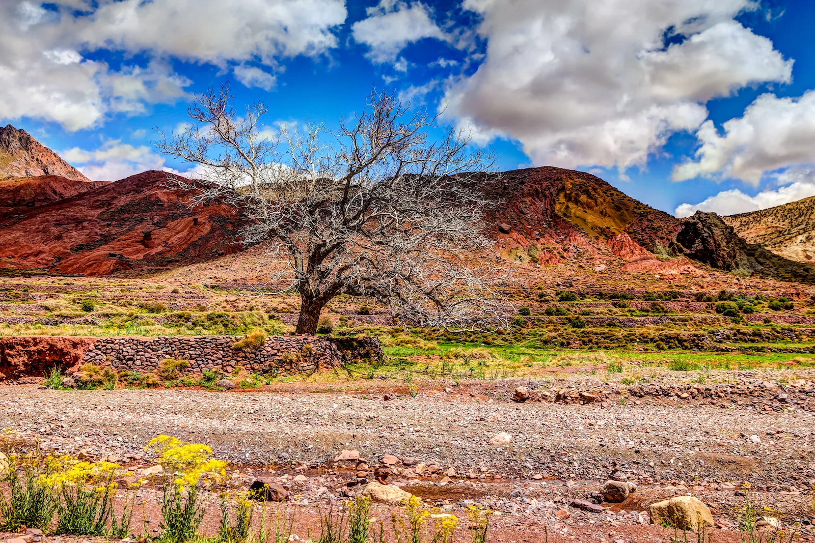 2019 DRIVE TO MARRAKESH-53.JPG