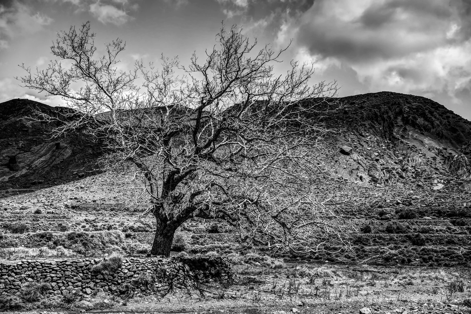 2019 DRIVE TO MARRAKESH-55.JPG