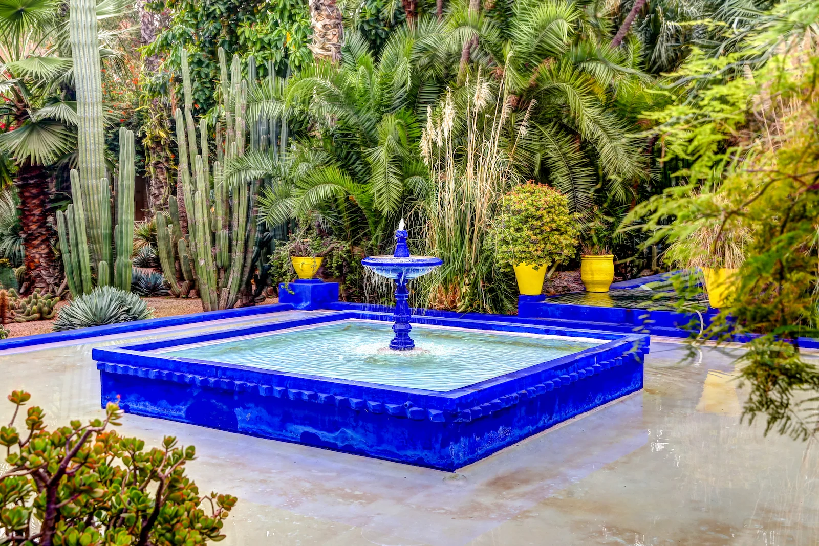 2019 MARRAKECH YSL GARDENS AND MUSEUM-18.JPG