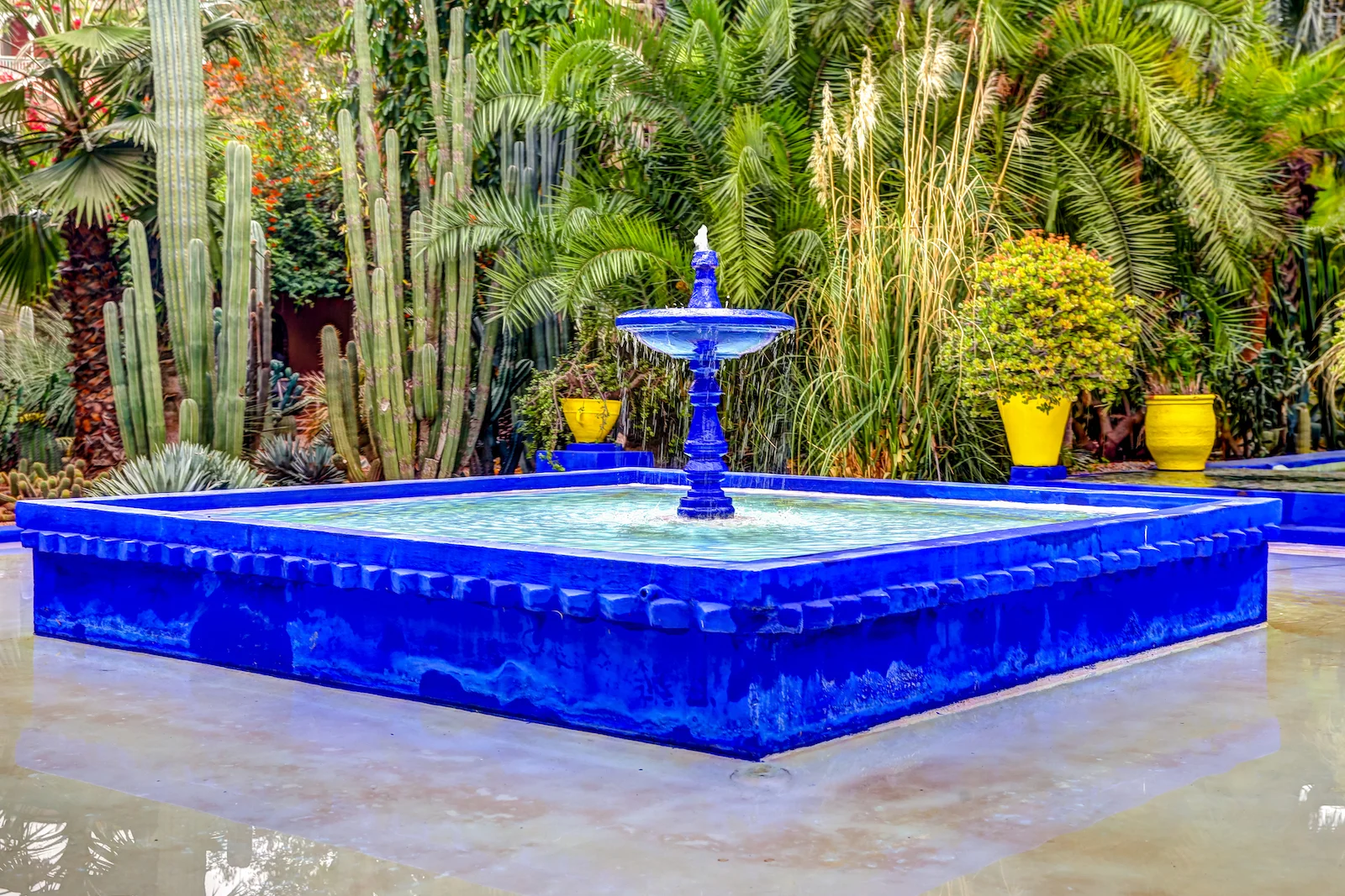 2019 MARRAKECH YSL GARDENS AND MUSEUM-22.JPG