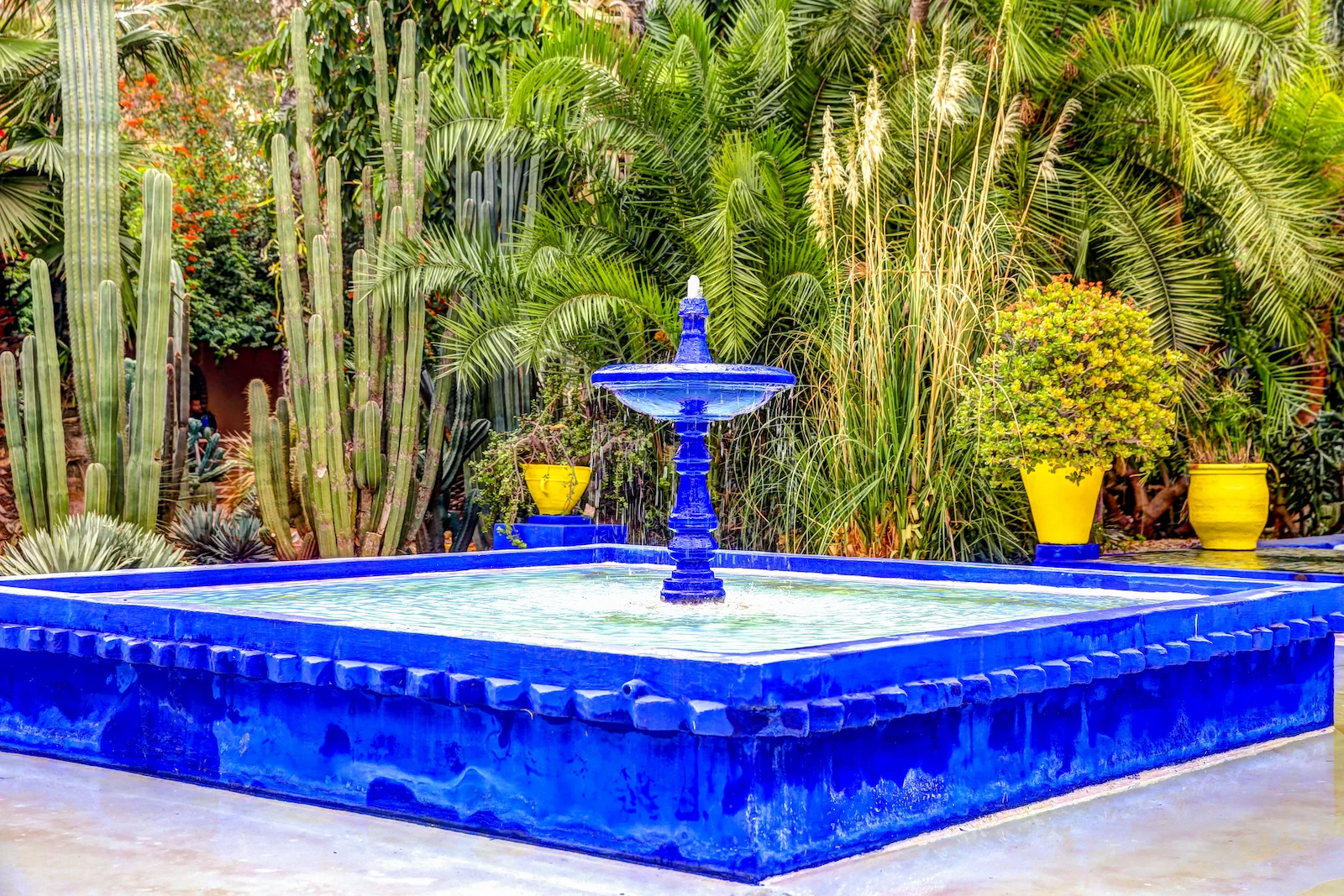 2019 MARRAKECH YSL GARDENS AND MUSEUM-23.JPG