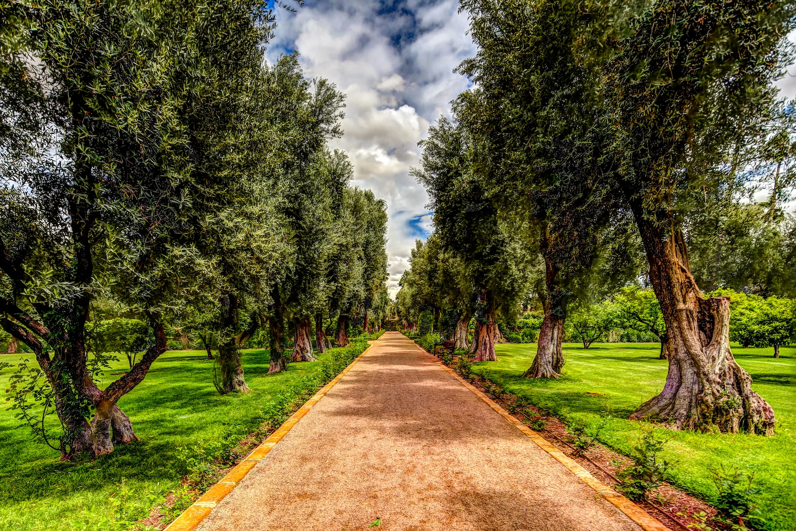 2019 MARRAKECH LA MAMOUNIA-45.JPG