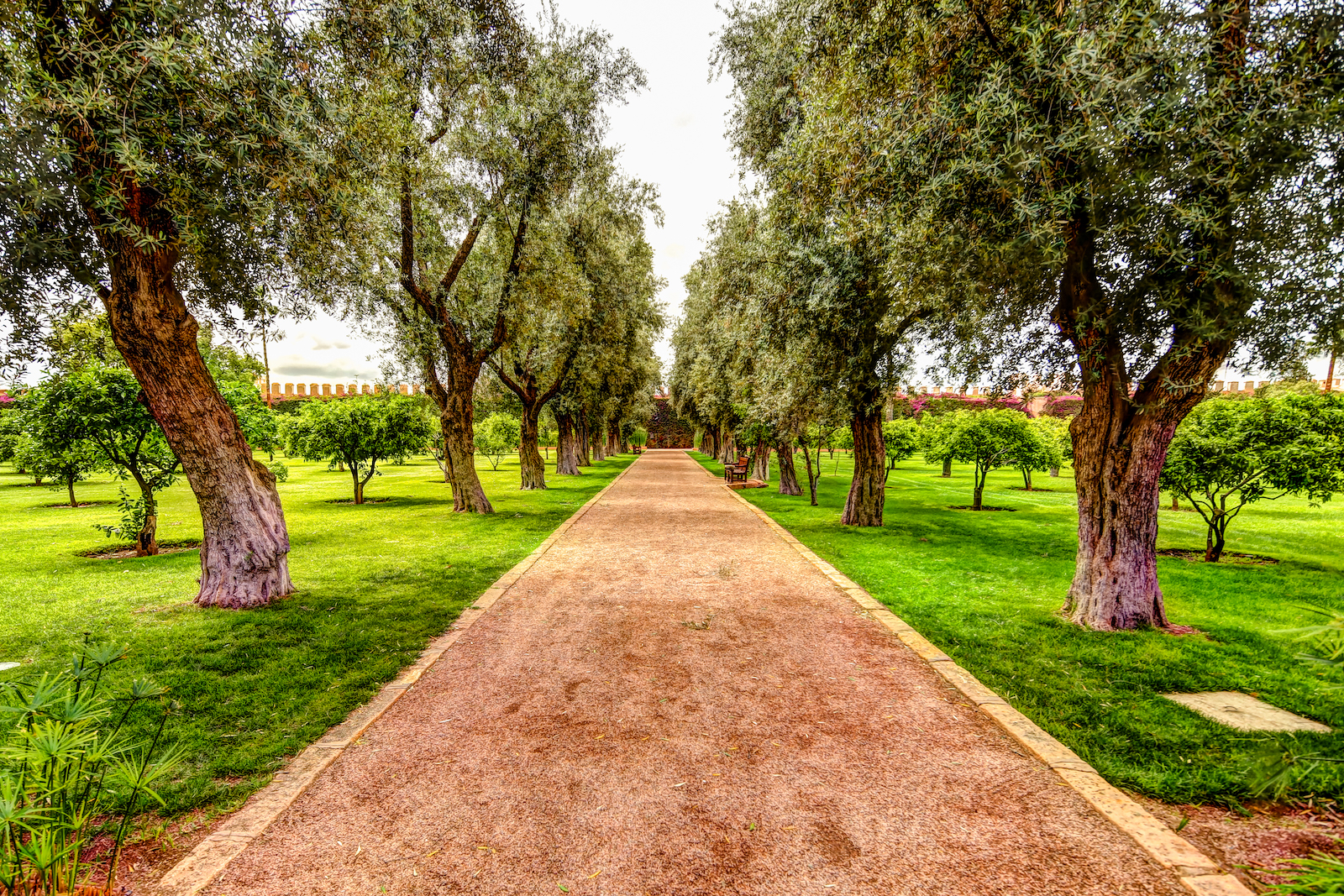 2019 MARRAKECH LA MAMOUNIA-48.JPG