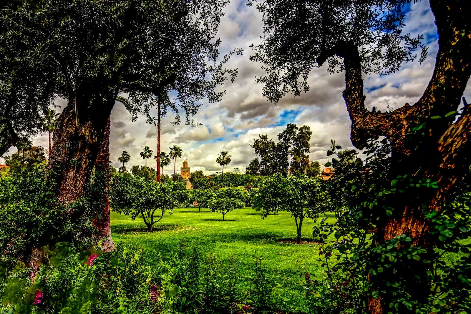 2019 MARRAKECH LA MAMOUNIA-49.JPG