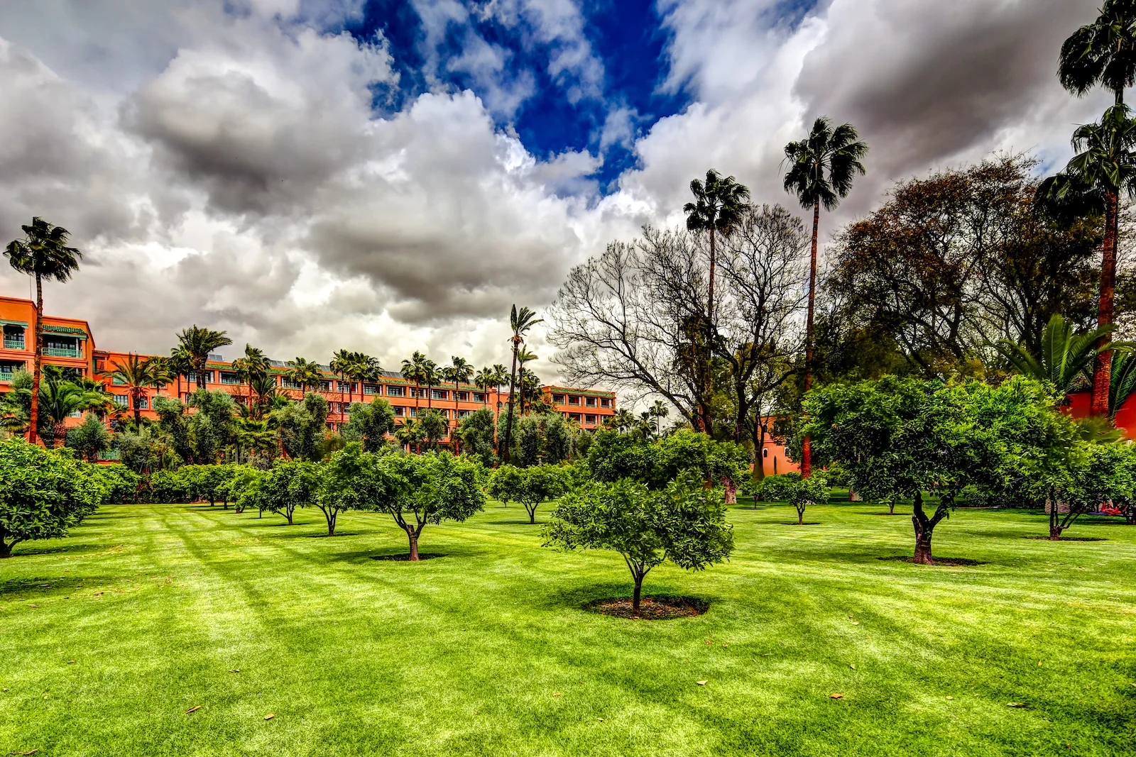 2019 MARRAKECH LA MAMOUNIA-50.JPG