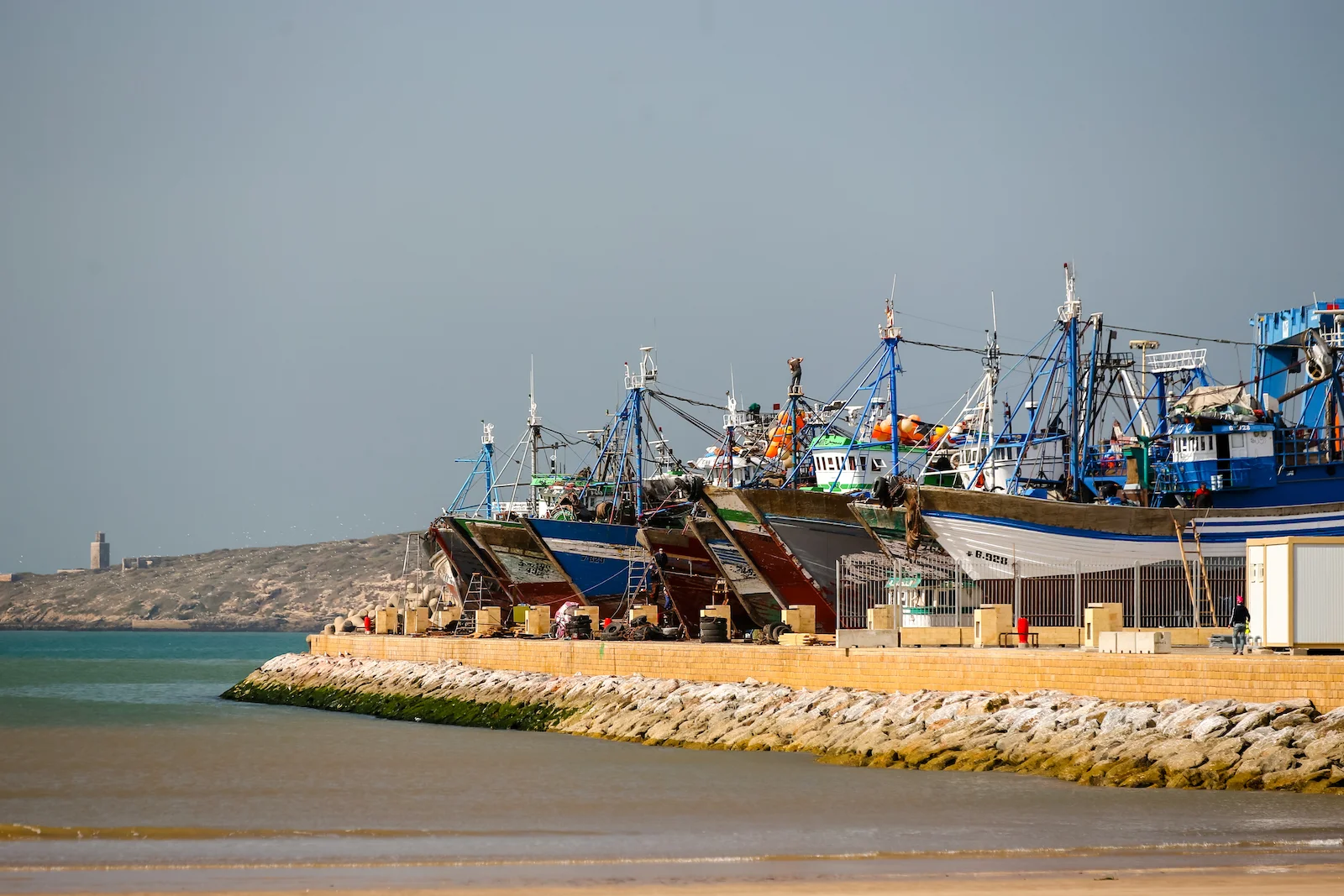 2019 ESSAOUIRA-5.JPG