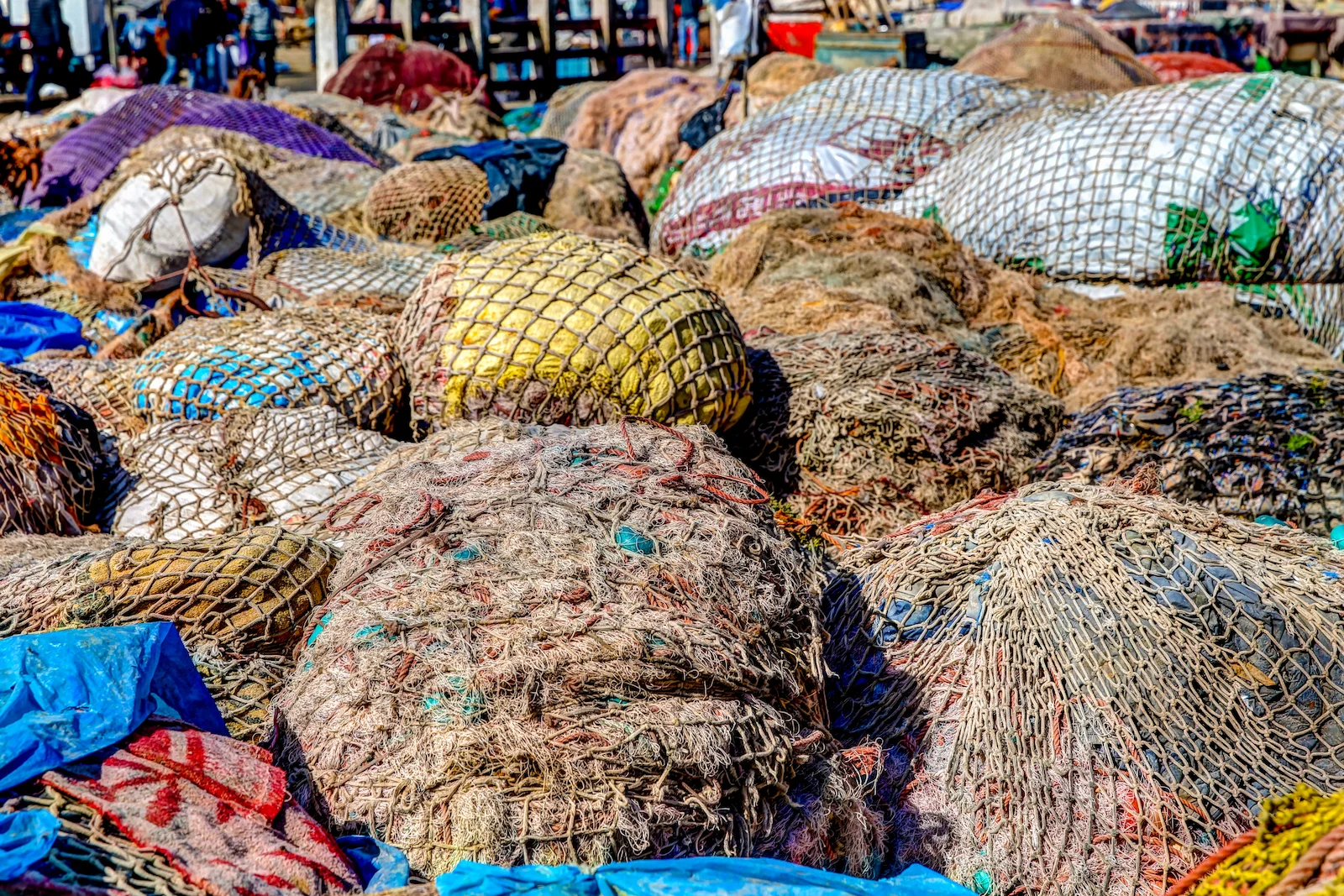 2019 ESSAOUIRA-16.JPG