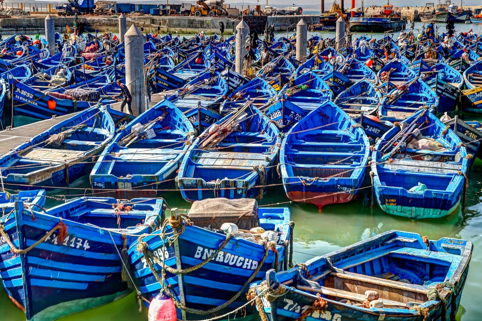 2019 ESSAOUIRA-18.JPG