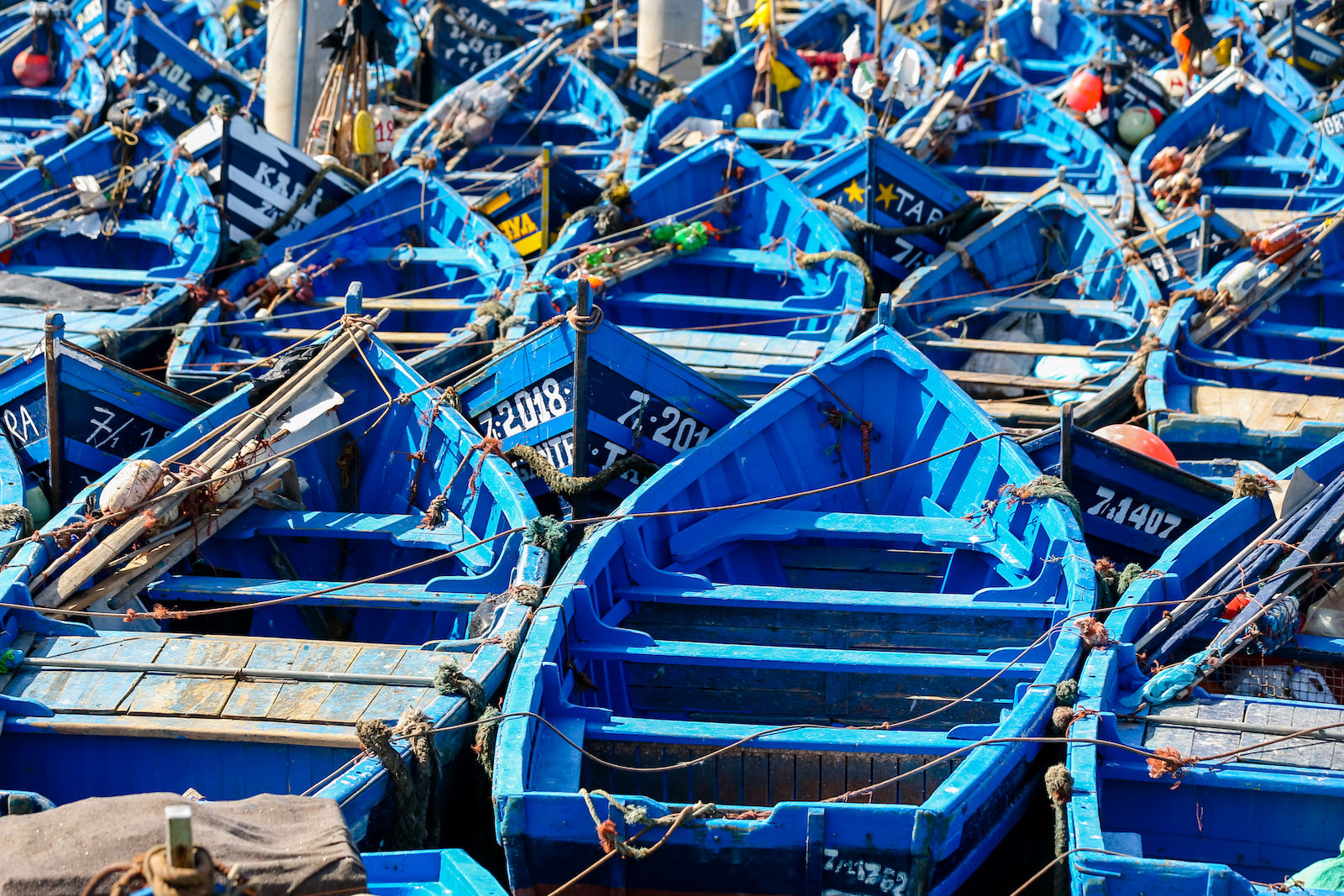 2019 ESSAOUIRA-22.JPG