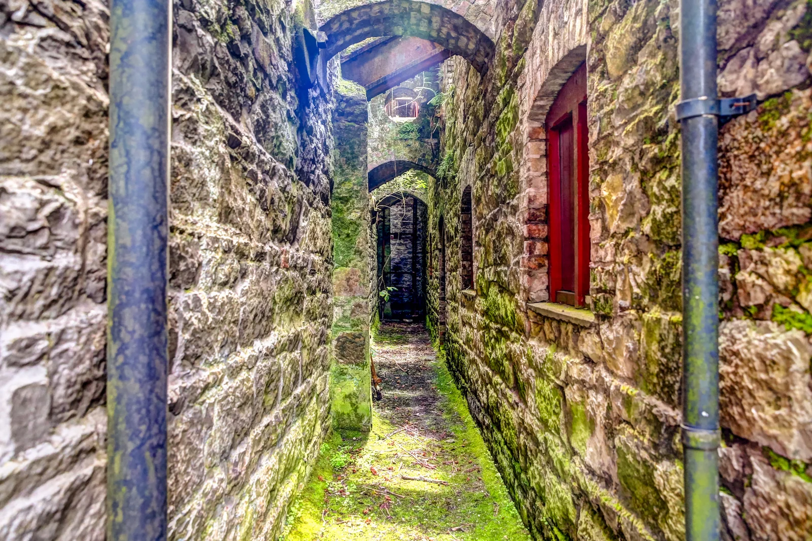 2019 EUROPE - CORK-24.JPG