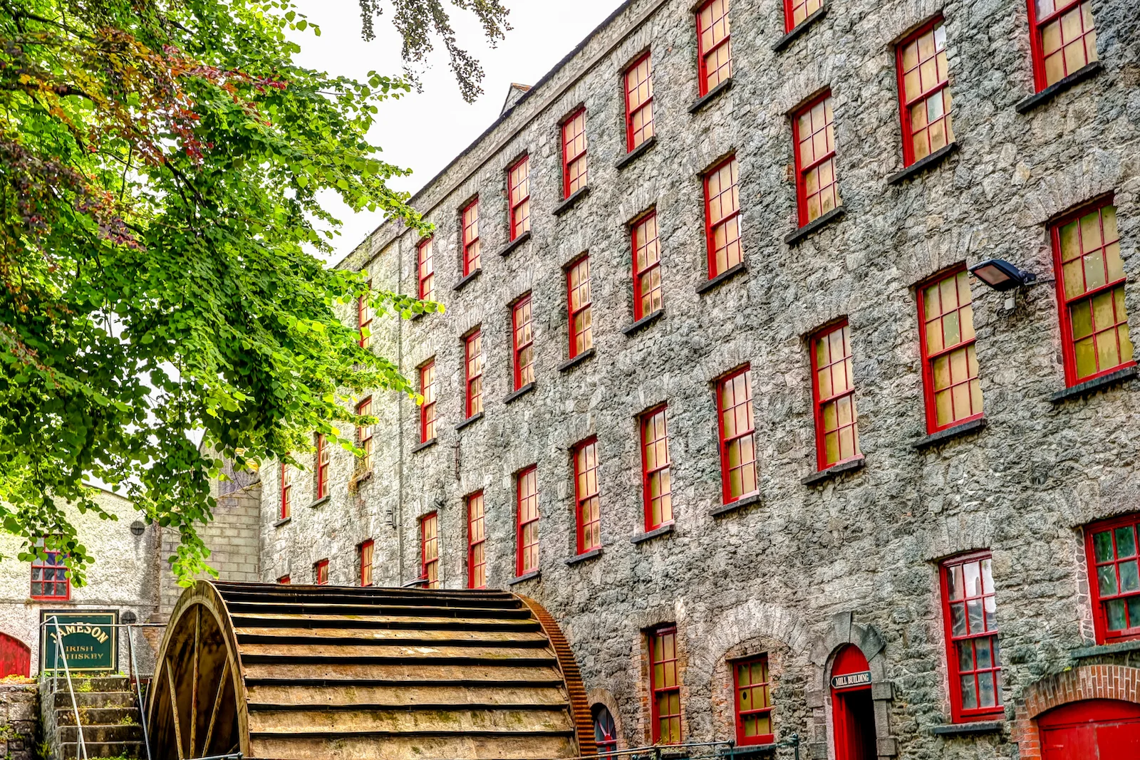 2019 EUROPE - CORK-28.JPG