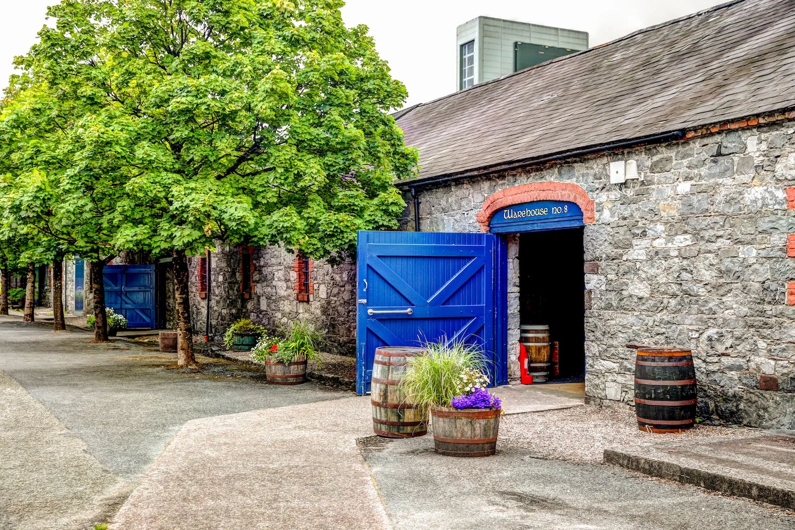 2019 EUROPE - CORK-40.JPG