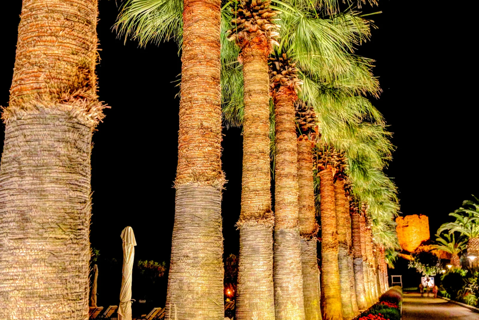 2019 EUROPE - HALKIDIKI-18.JPG