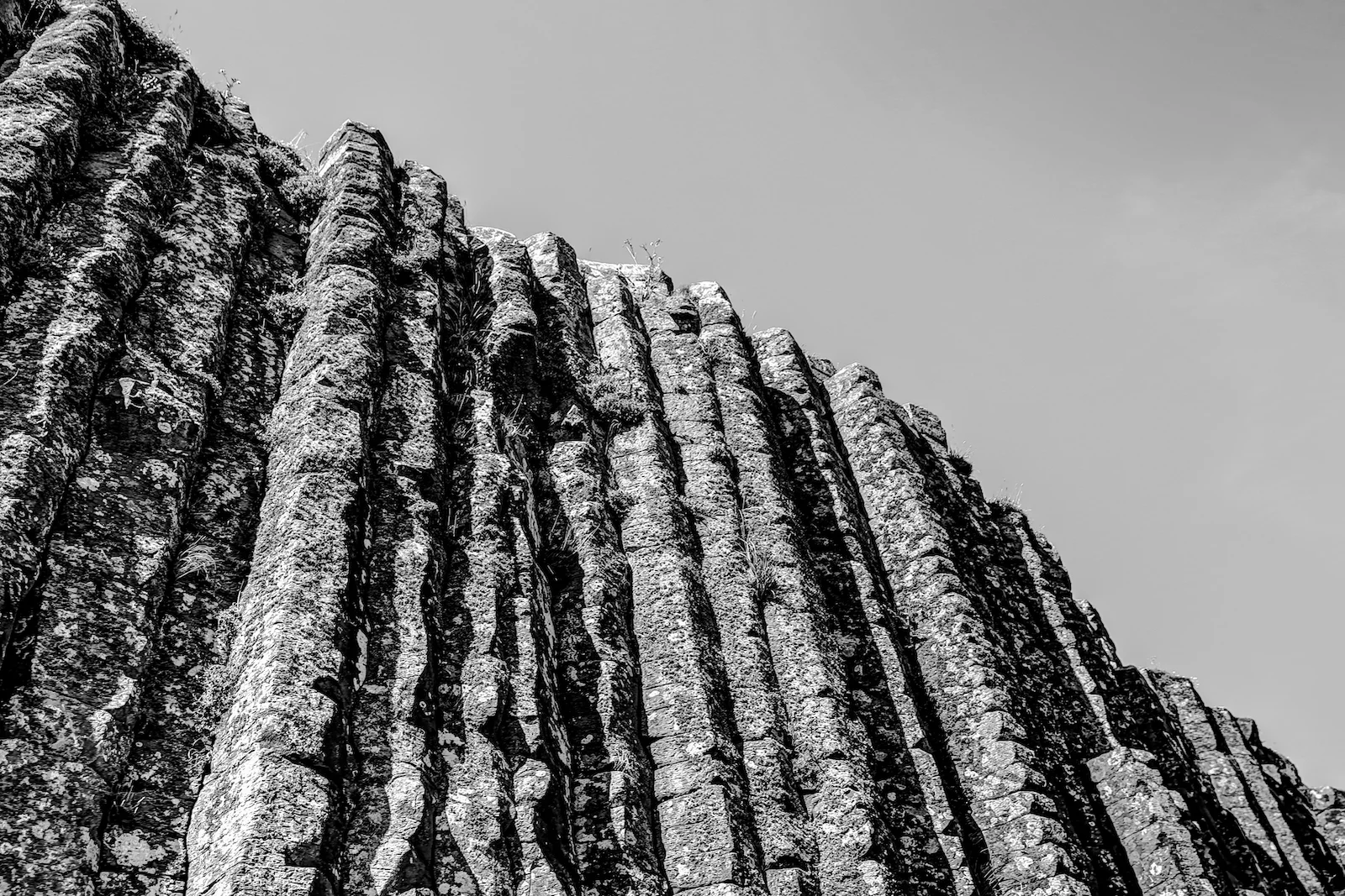 2019 EUROPE - BELFAST-65.JPG