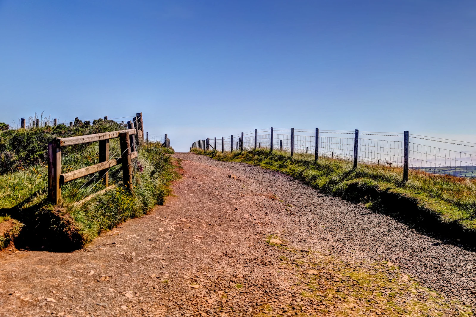 2019 EUROPE - BELFAST-82.JPG