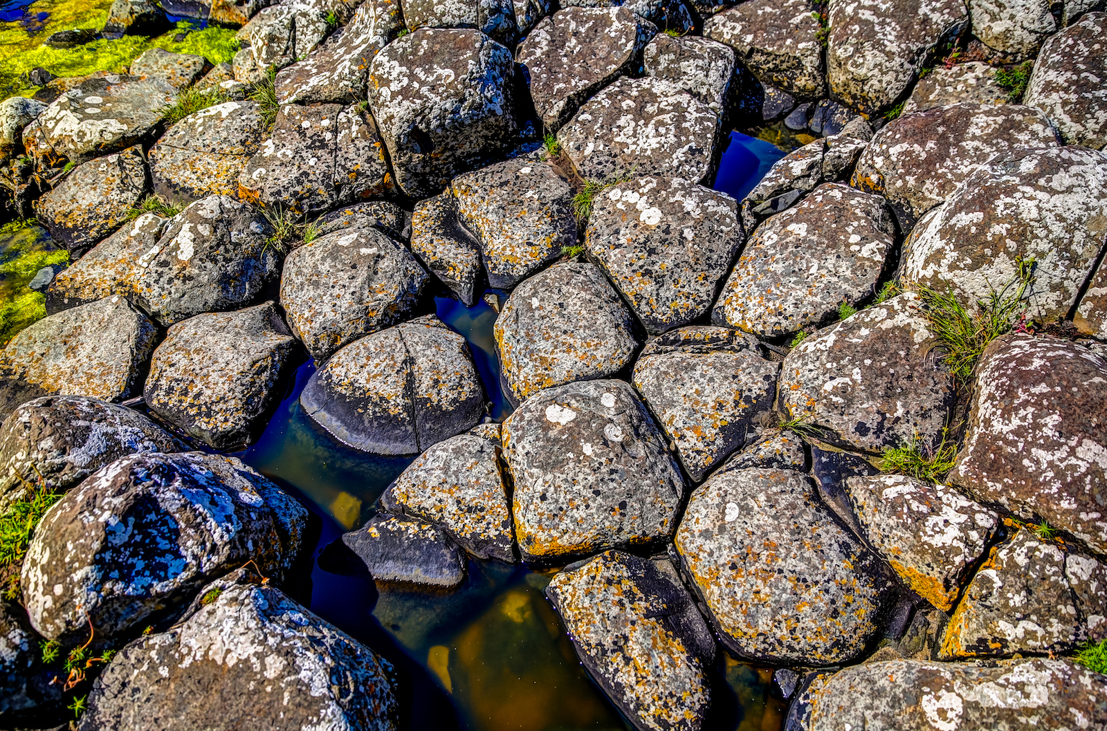 2019 EUROPE - BELFAST-31.JPG