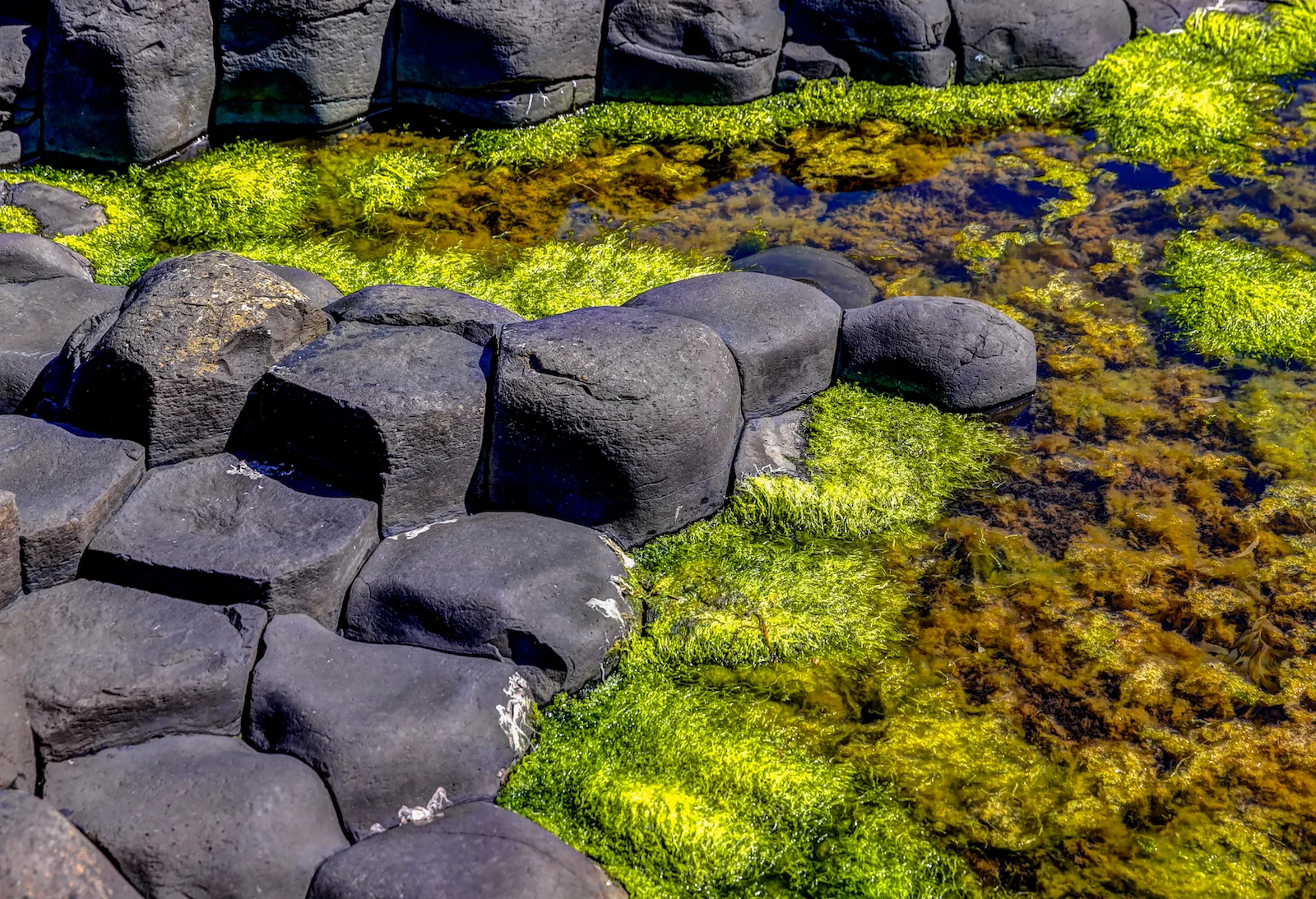 2019 EUROPE - BELFAST-36.JPG