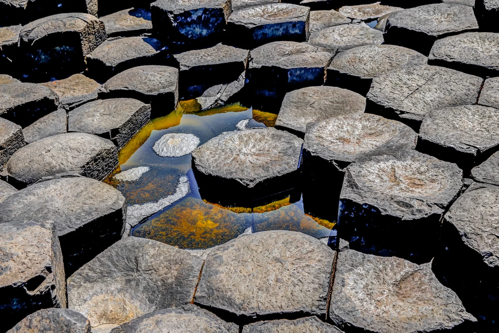 2019 EUROPE - BELFAST-62.JPG