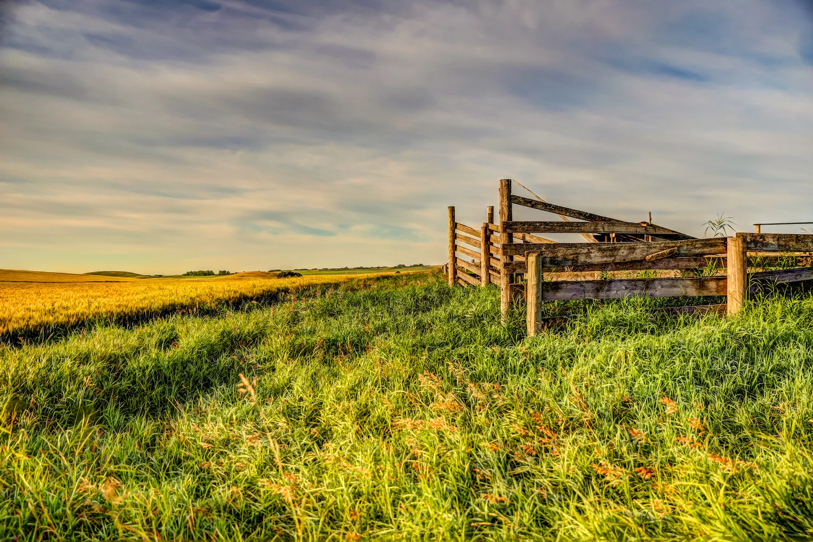 2019 Calgary Rural-6.JPG