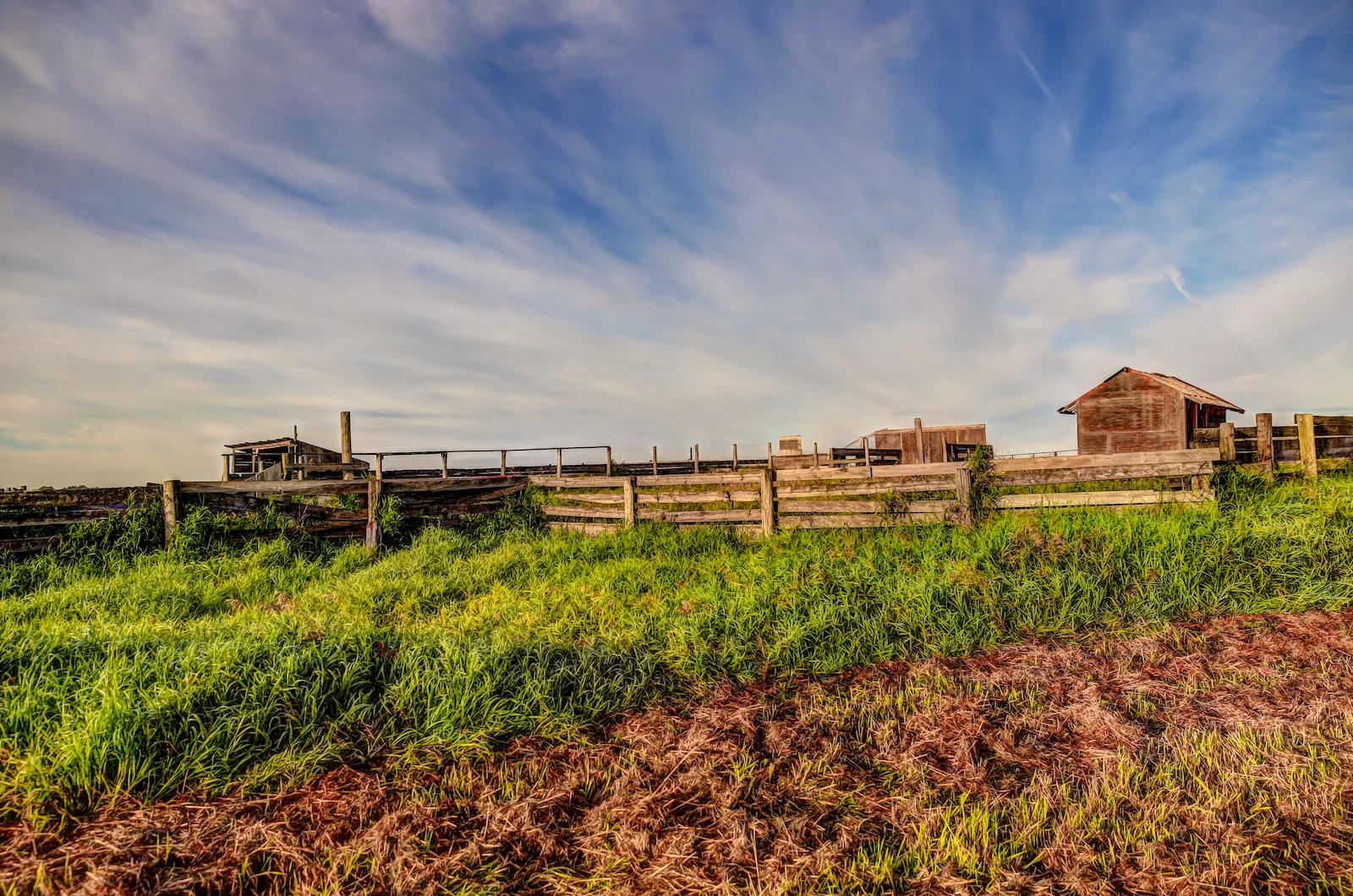 2019 Calgary Rural-15.JPG